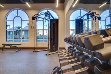 Fitness room with arched windows, weight machines, and a long row of dumbbells.