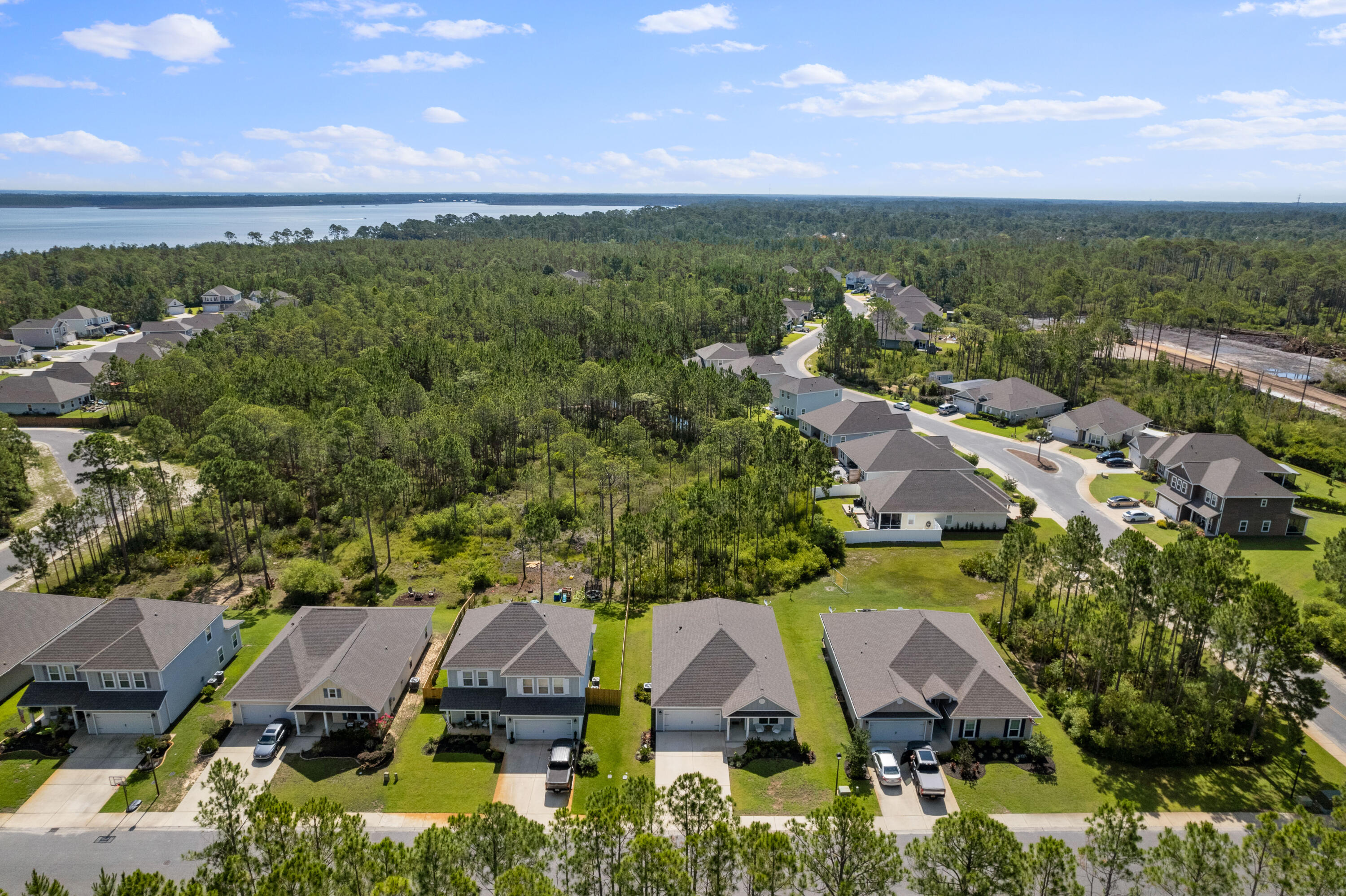 Aerial neighborhood view with homes, pine woodland, and water in the distance.