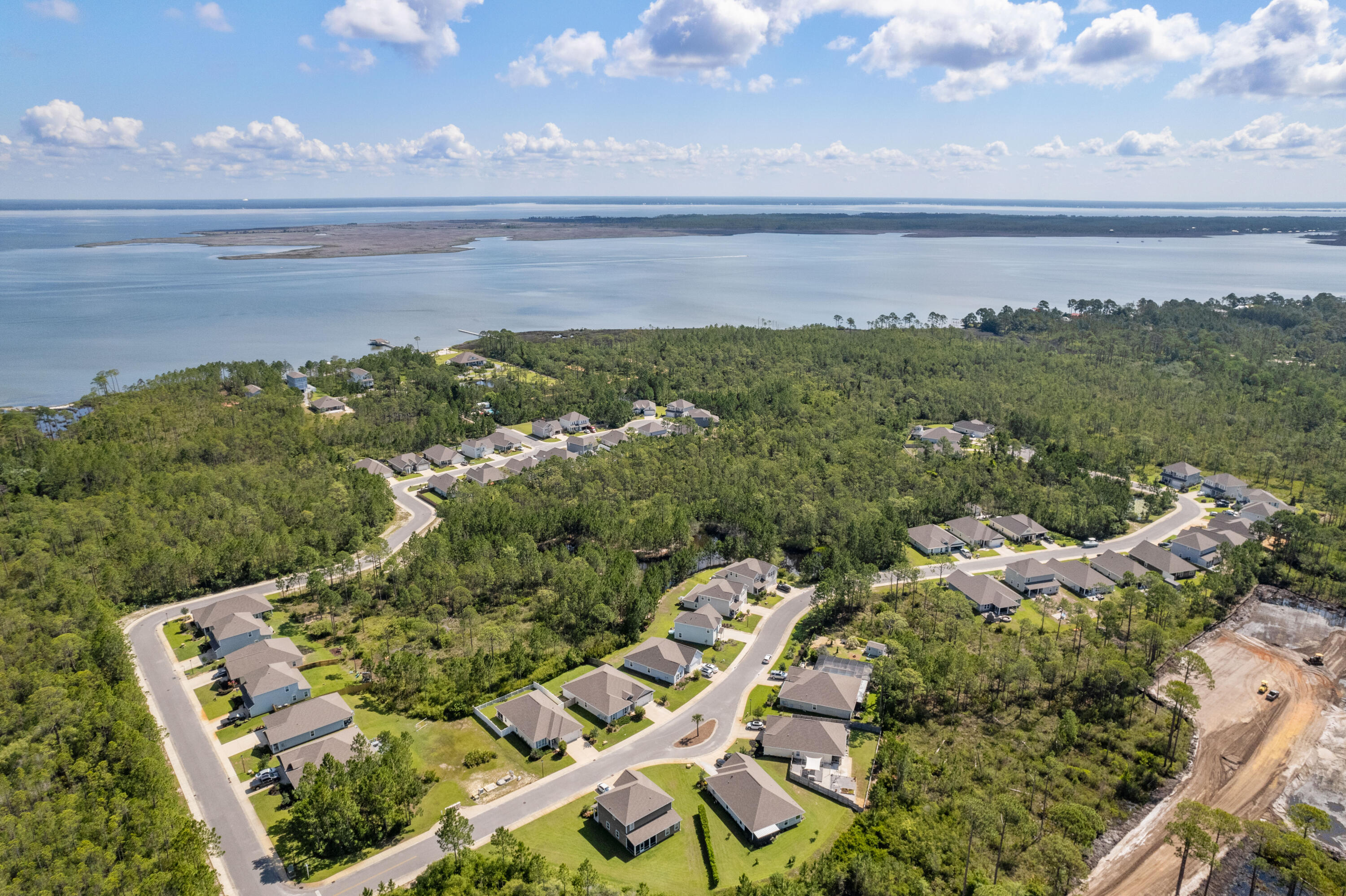 Aerial view of homes amid pine forest, with winding streets and a bay beyond.