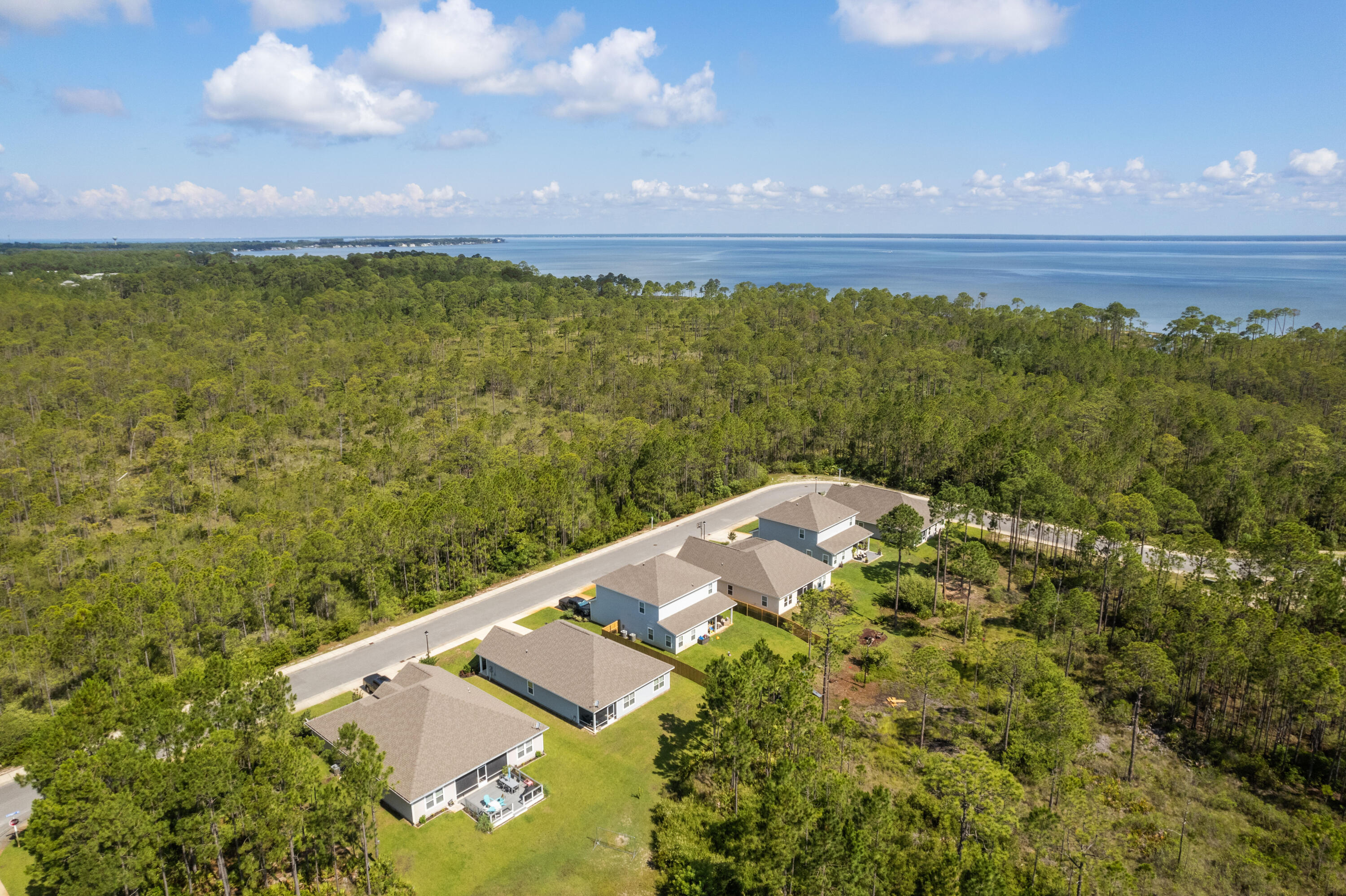 Aerial view of homes beside dense forest, with coastal water in the distance.