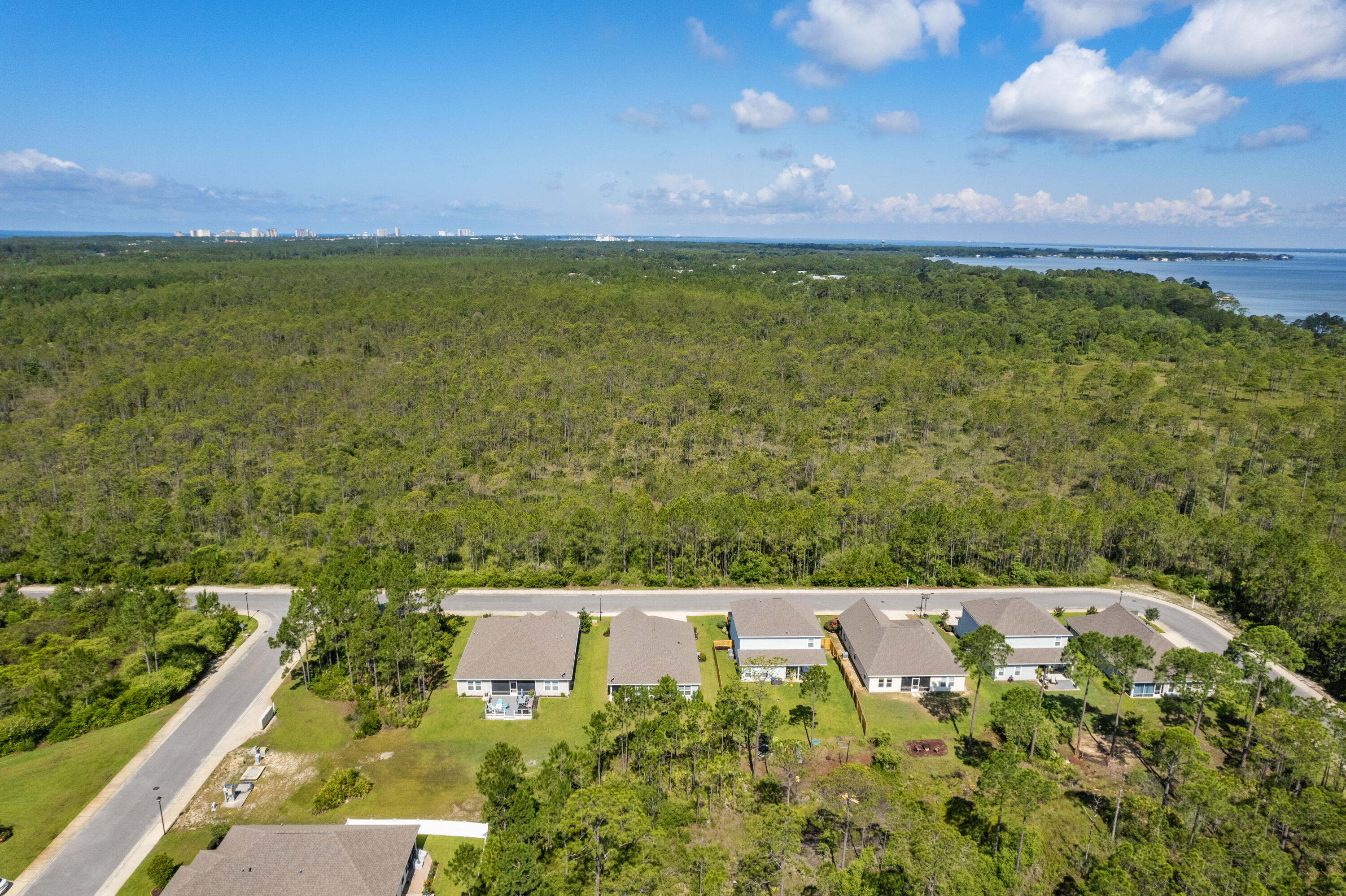 Aerial view of homes beside wooded land, with coastal water on the horizon.