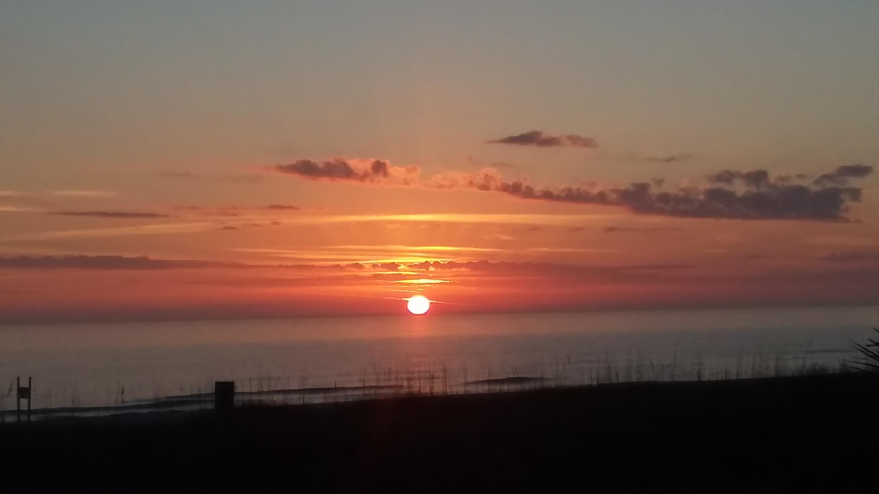 Sunset over the ocean, with silhouetted beach grass in the foreground.