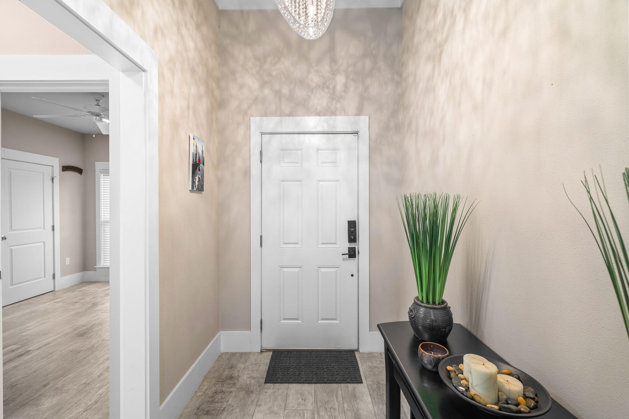 Entry foyer with a white paneled front door and a console table topped with a tall potted plant.