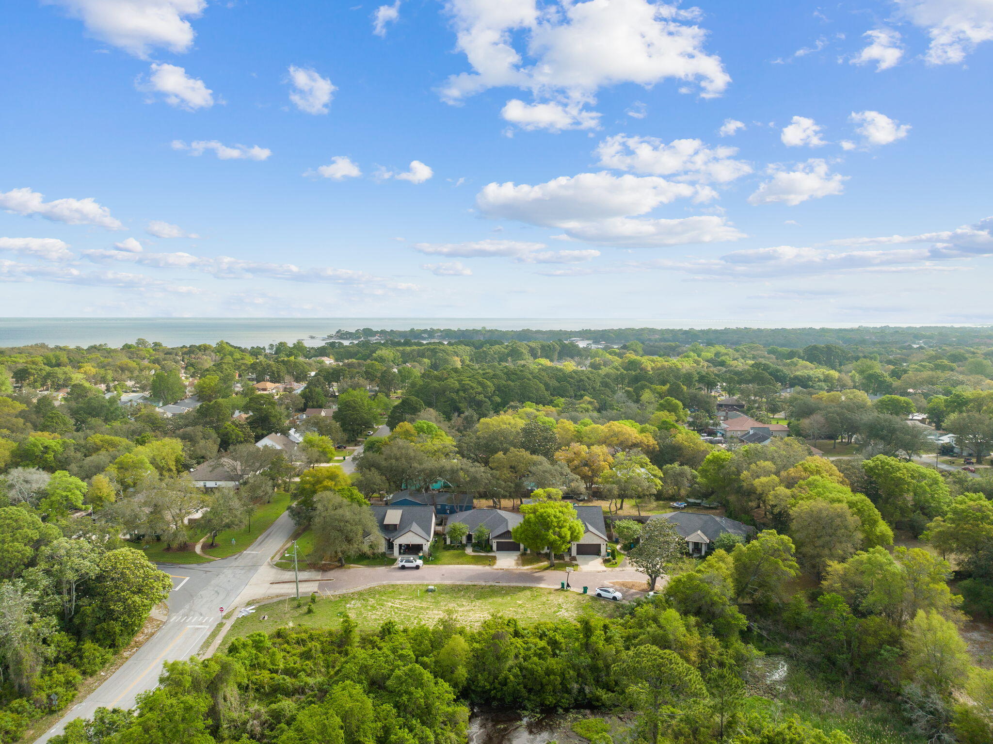 Aerial view of a wooded neighborhood with homes and water on the horizon.