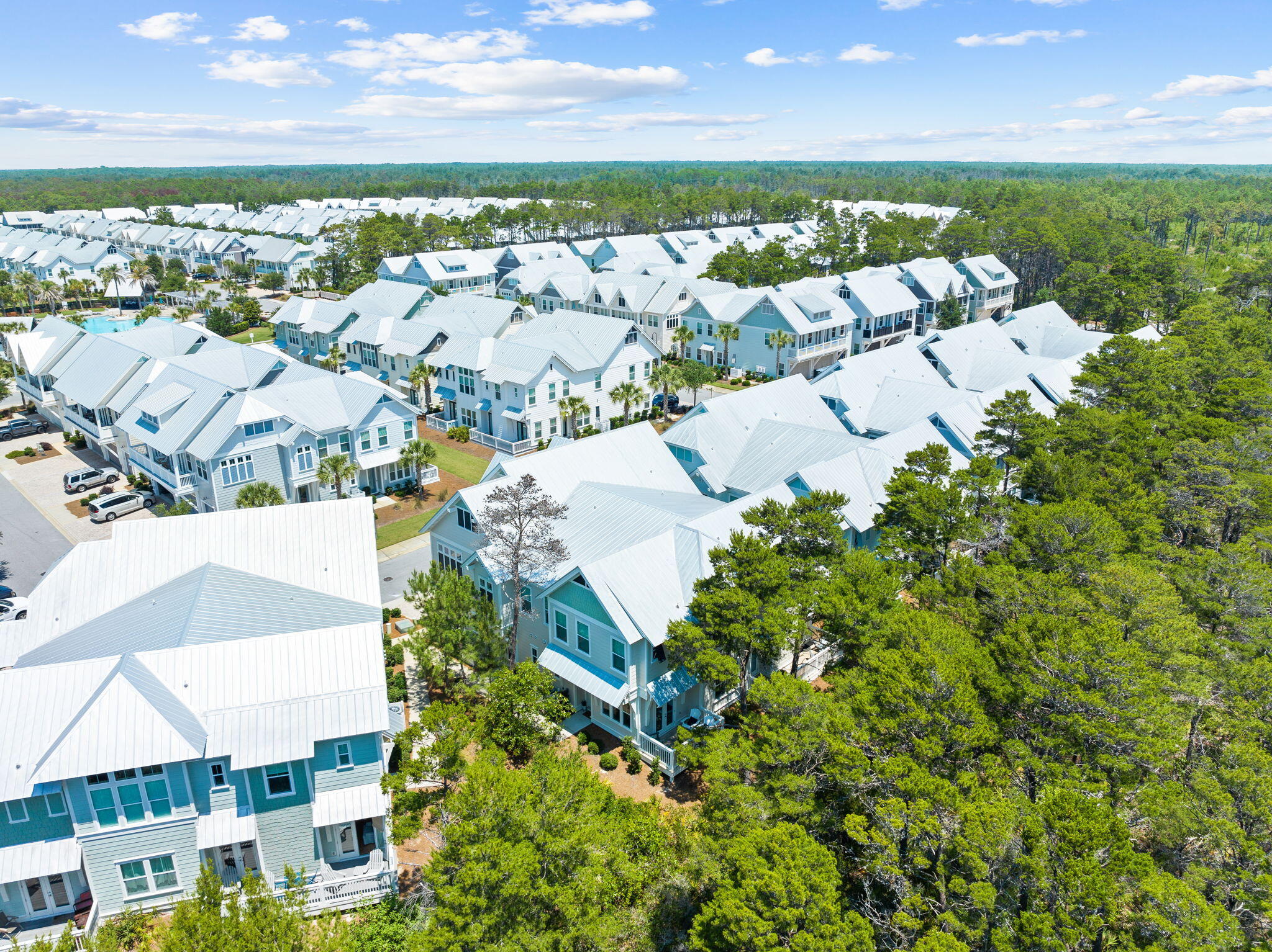 Aerial view of blue townhomes with white roofs beside dense pine forest.