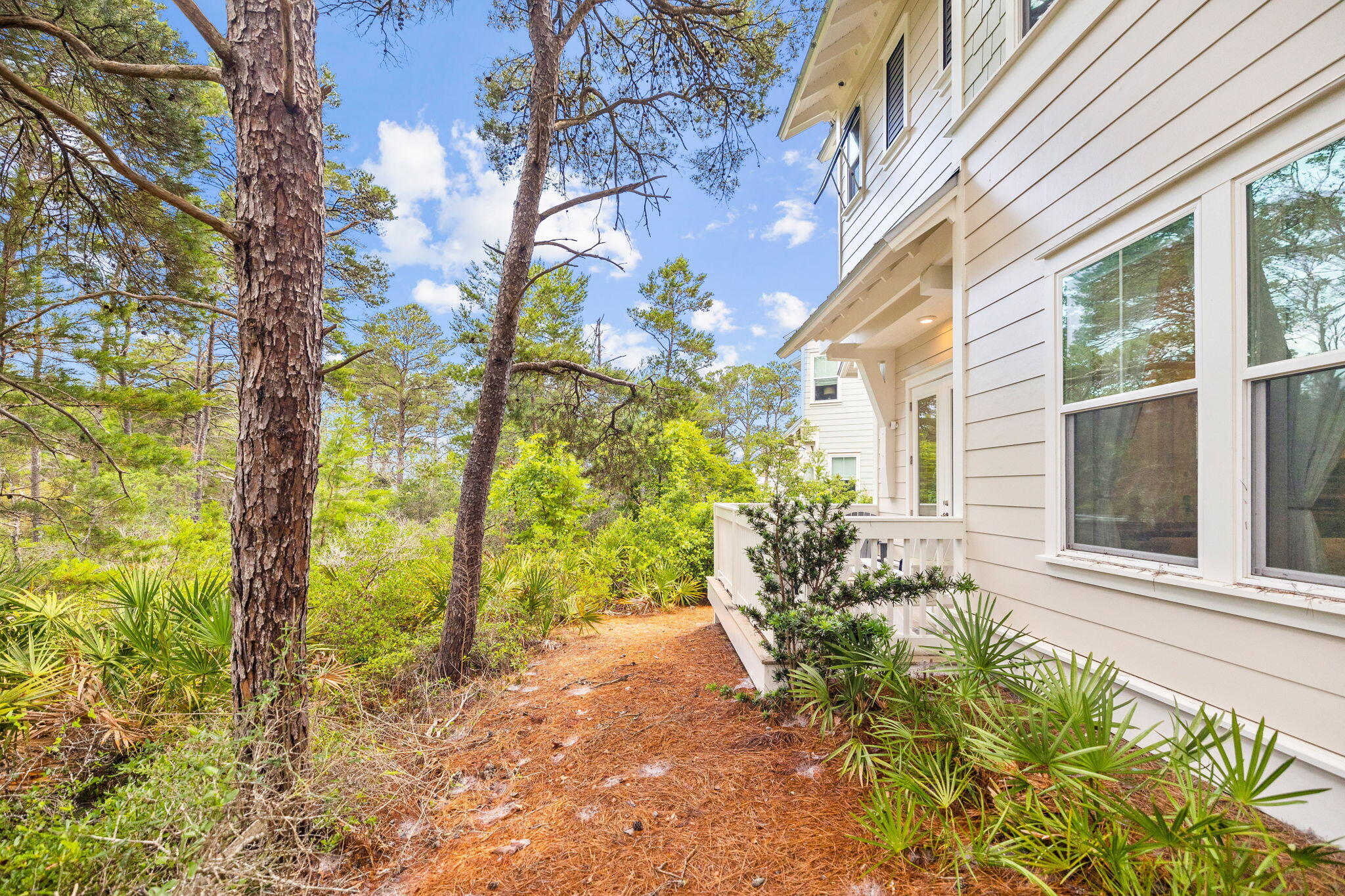 Light-colored home beside a pine-needle path, surrounded by mature pines and palmetto plants.