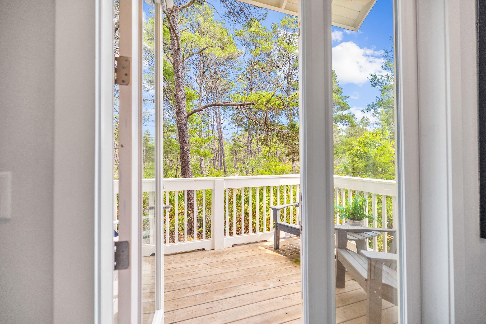 Wood deck with white railings and chairs overlooking leafy trees.