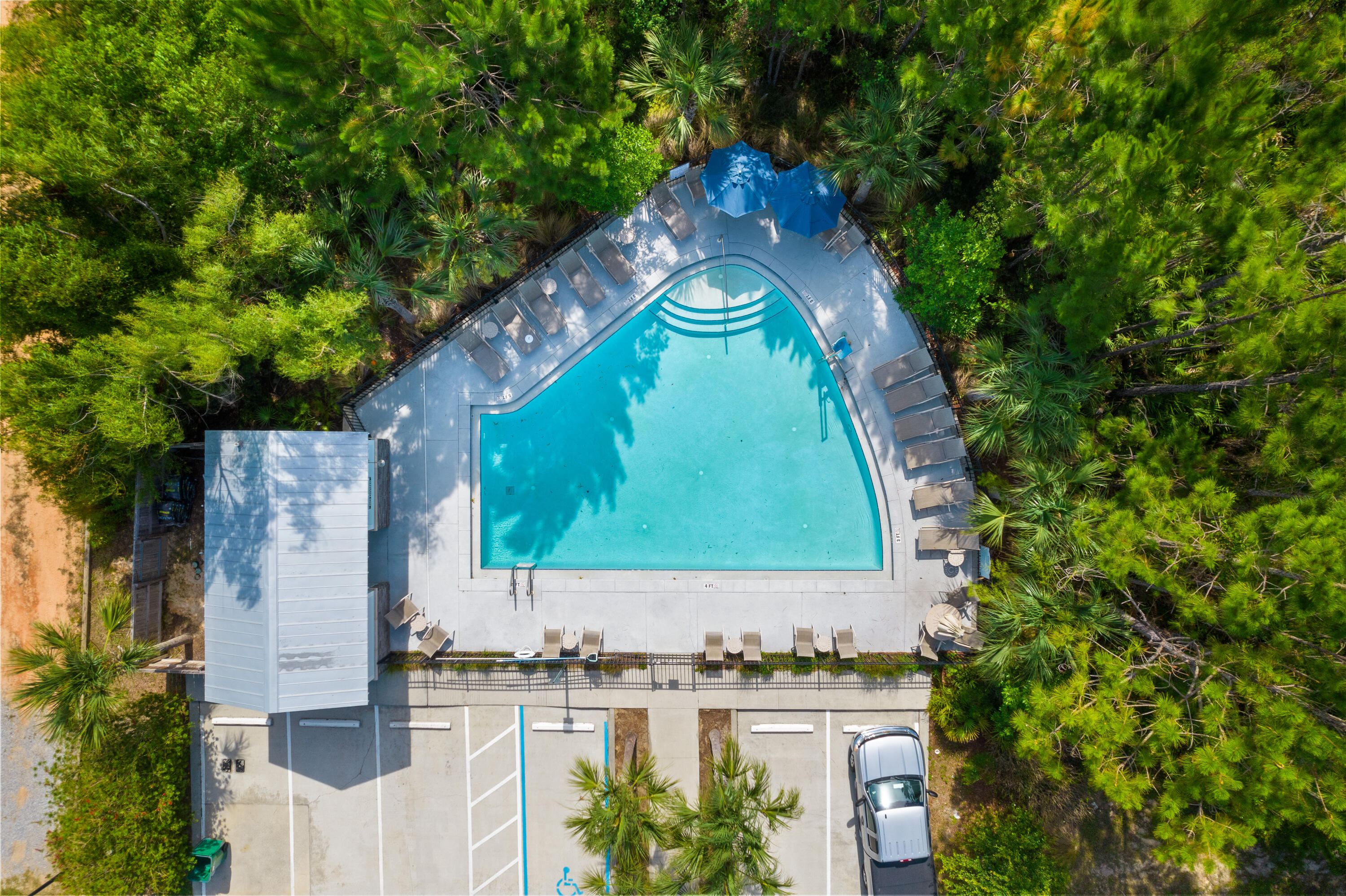 Aerial view of a curved swimming pool with lounge chairs and blue umbrellas amid dense trees.