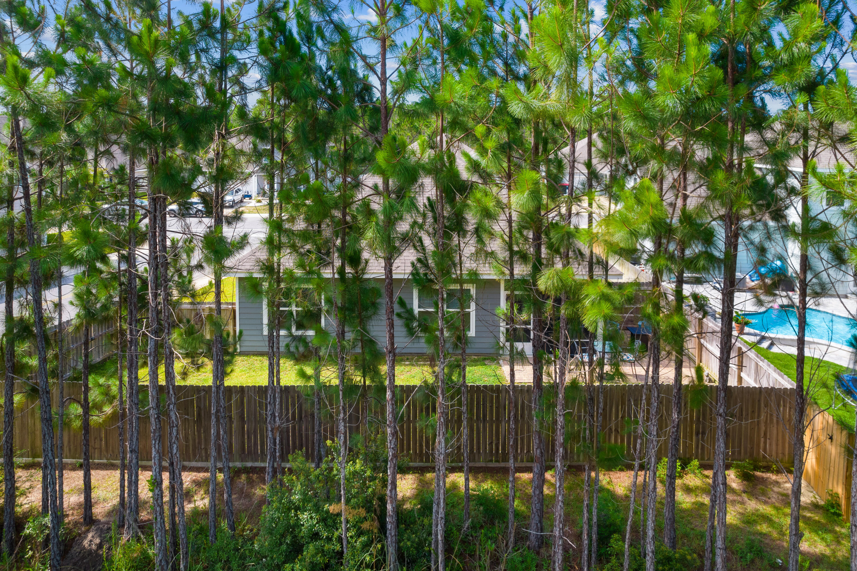 Gray-sided house and backyard pool seen through tall pine trees and a wooden fence.
