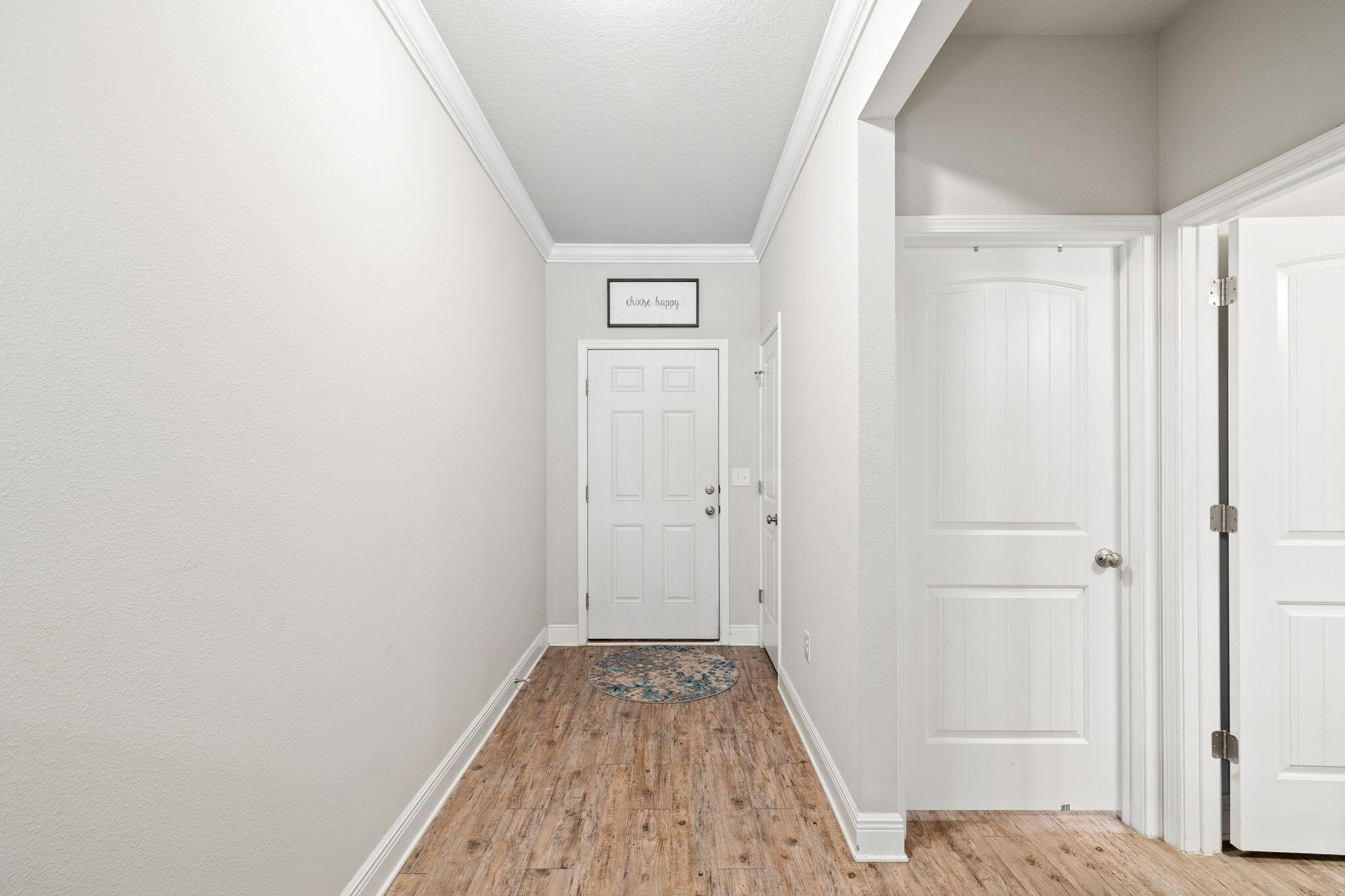Entry hallway with wood-look flooring, white paneled doors, and a round patterned rug.