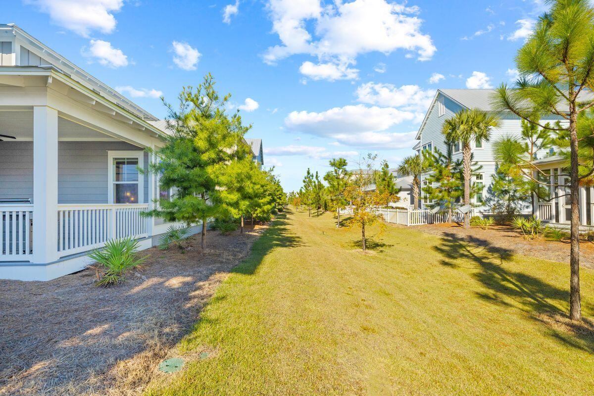 Coastal homes flank a grassy path lined with young trees and palms.