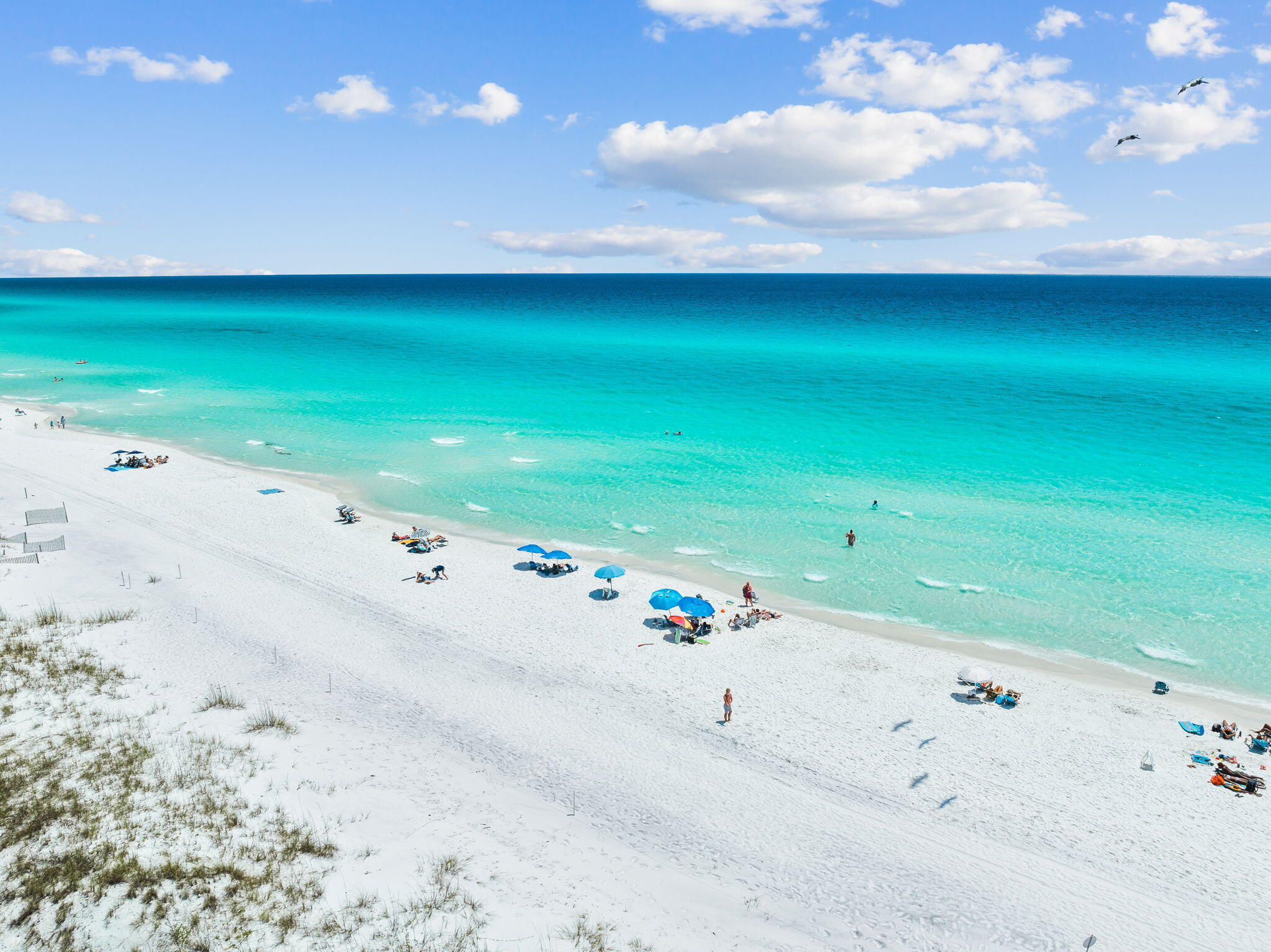 213 Spotted Dolphin Road