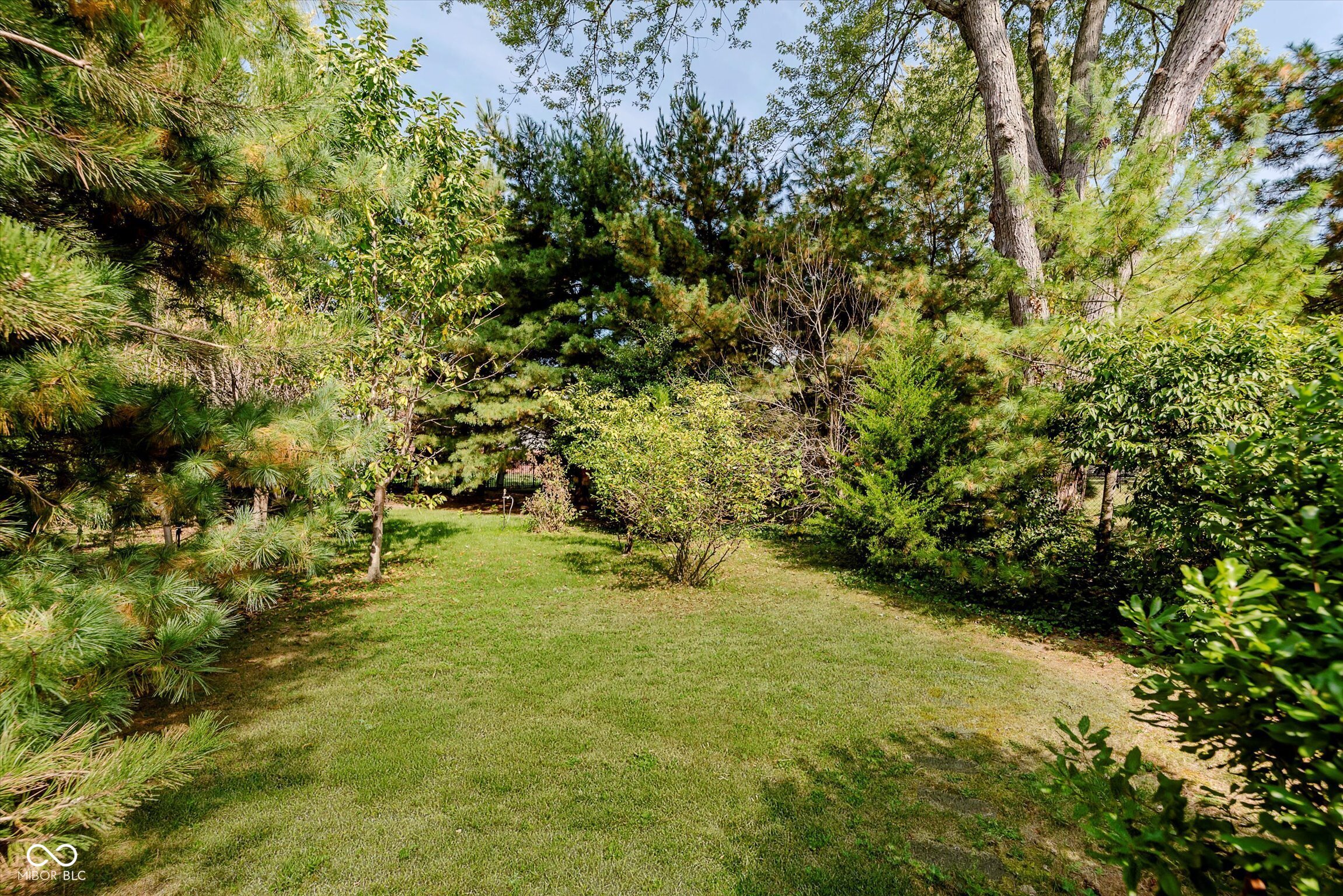 6262 Buttonwood Drive