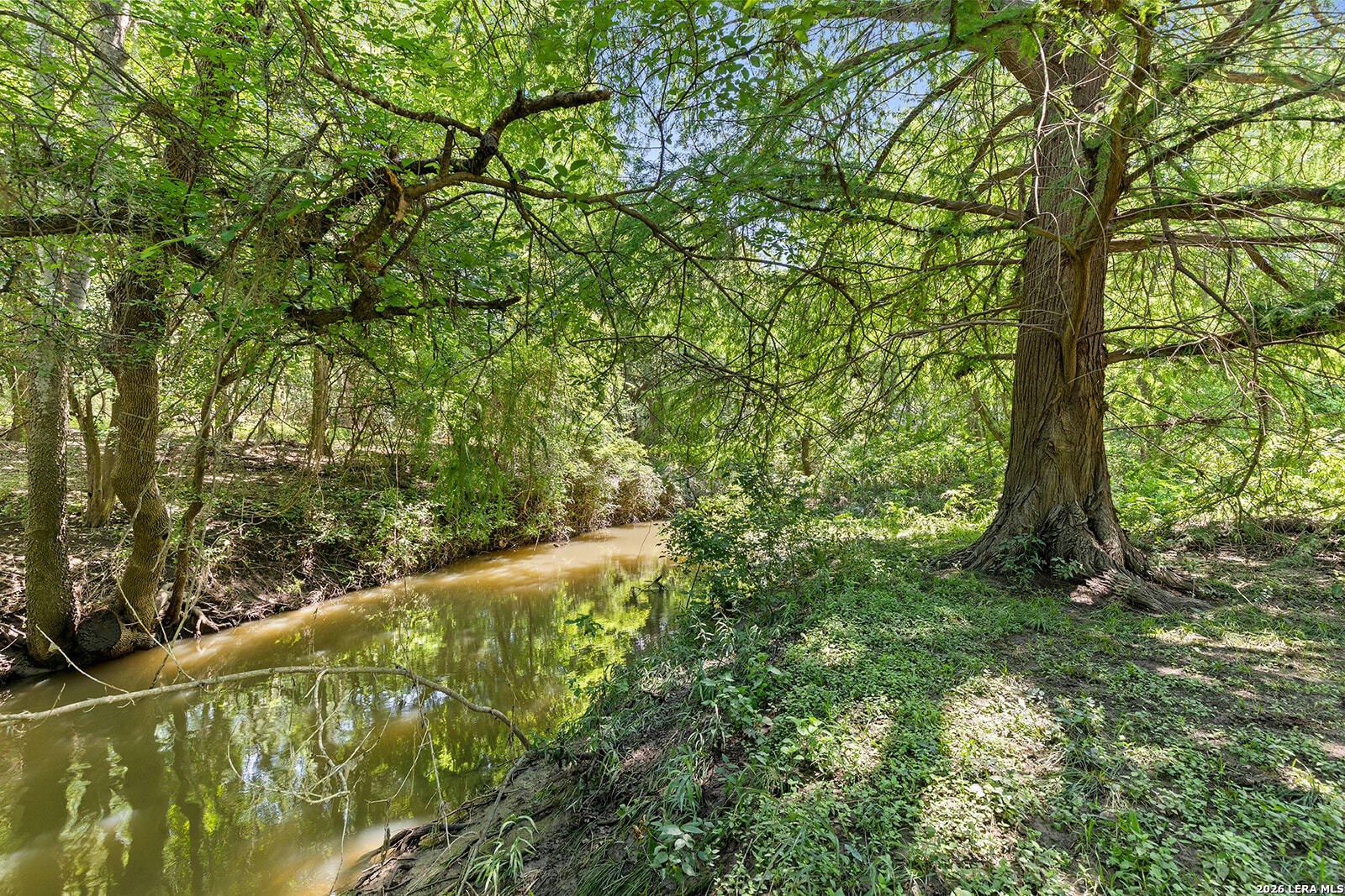 4708 Pecan Grove
