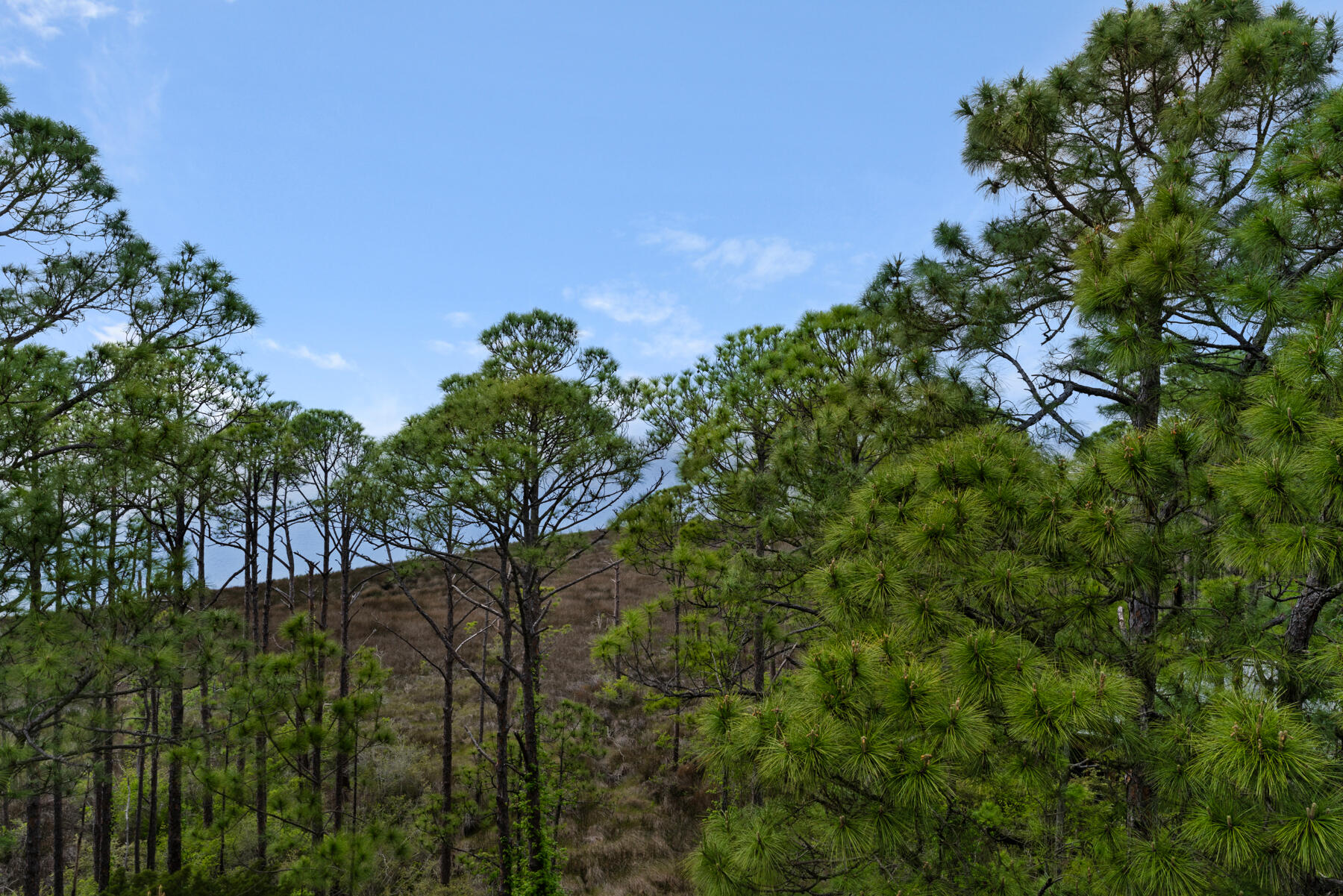 9600 Grand Sandestin Boulevard UNIT 3518