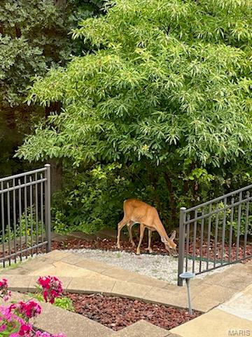 295 Romaine Spring View