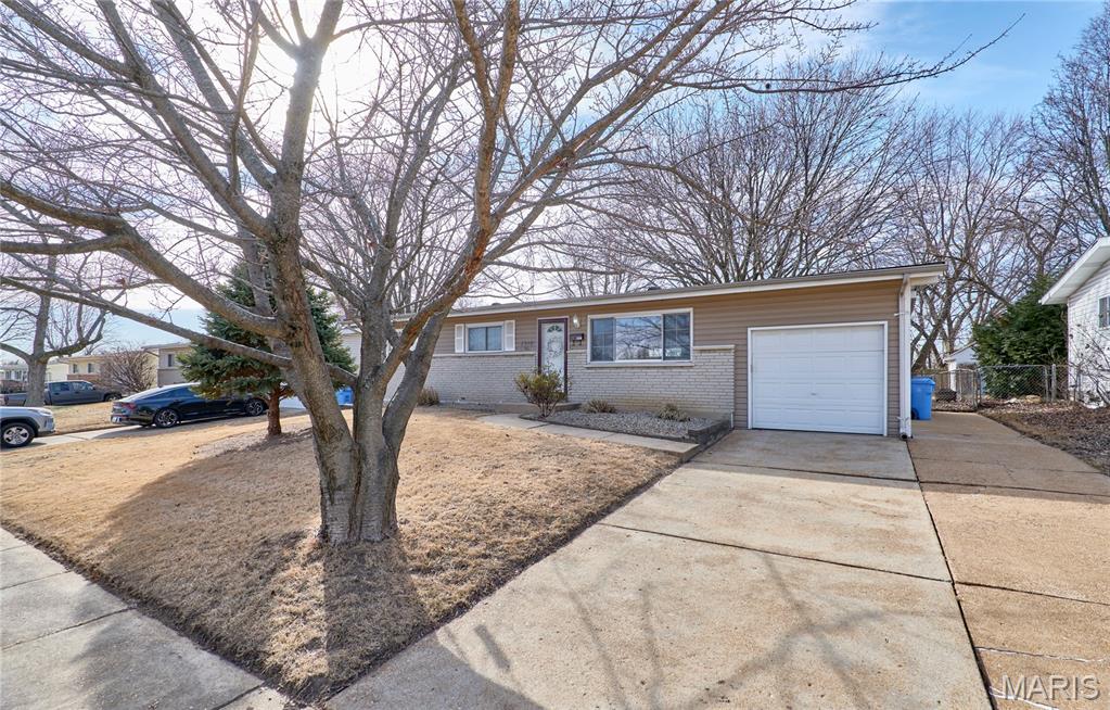 1910 Flamingo Drive
