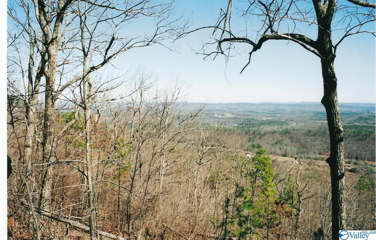 Lot 67 County Road 103