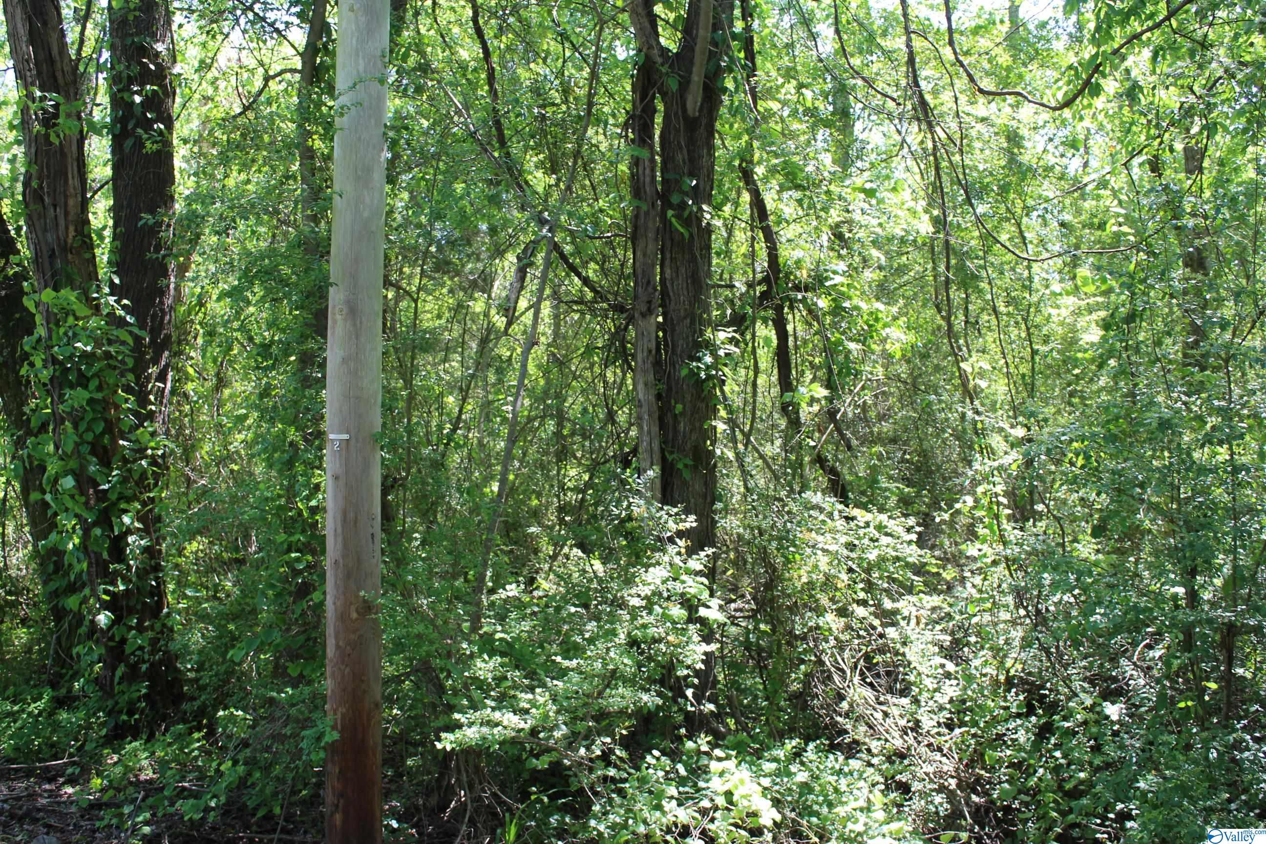 Lot 6 Hickory Lane