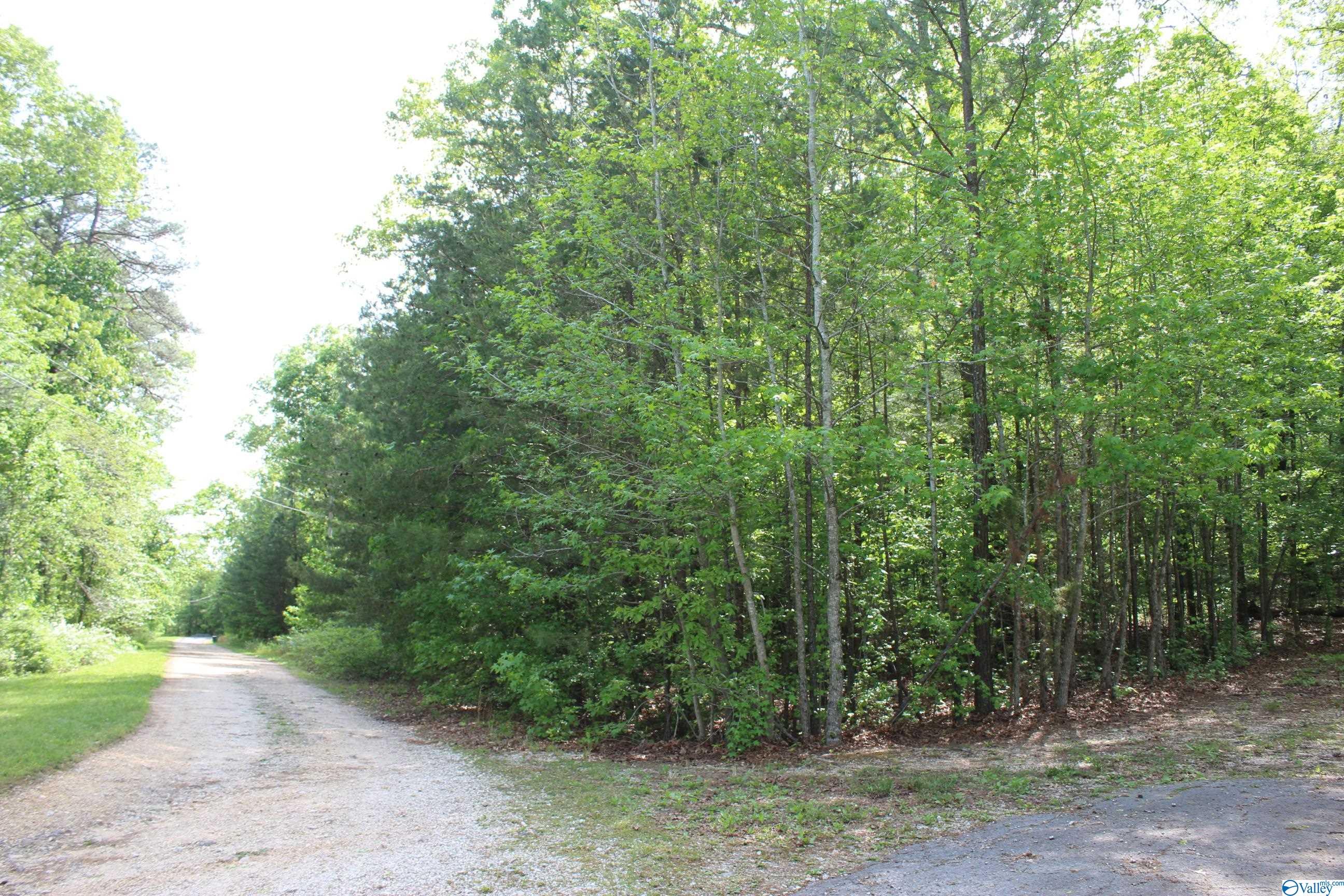 Lot 6 Hickory Lane