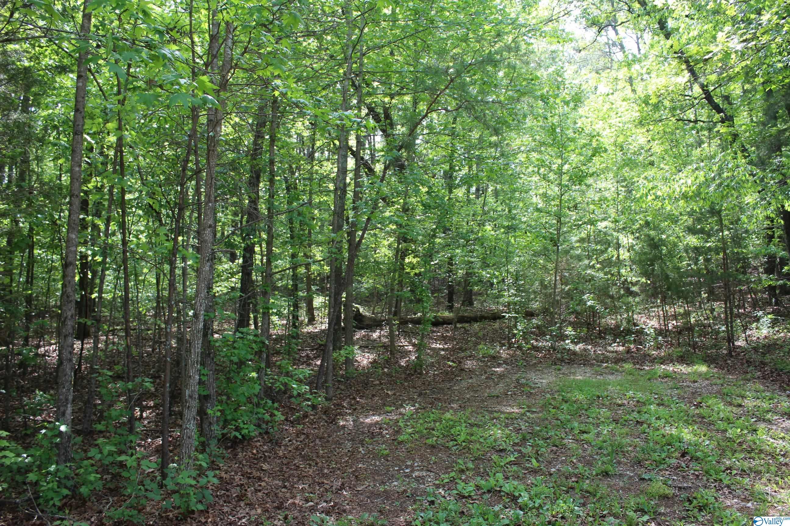 Lot 6 Hickory Lane