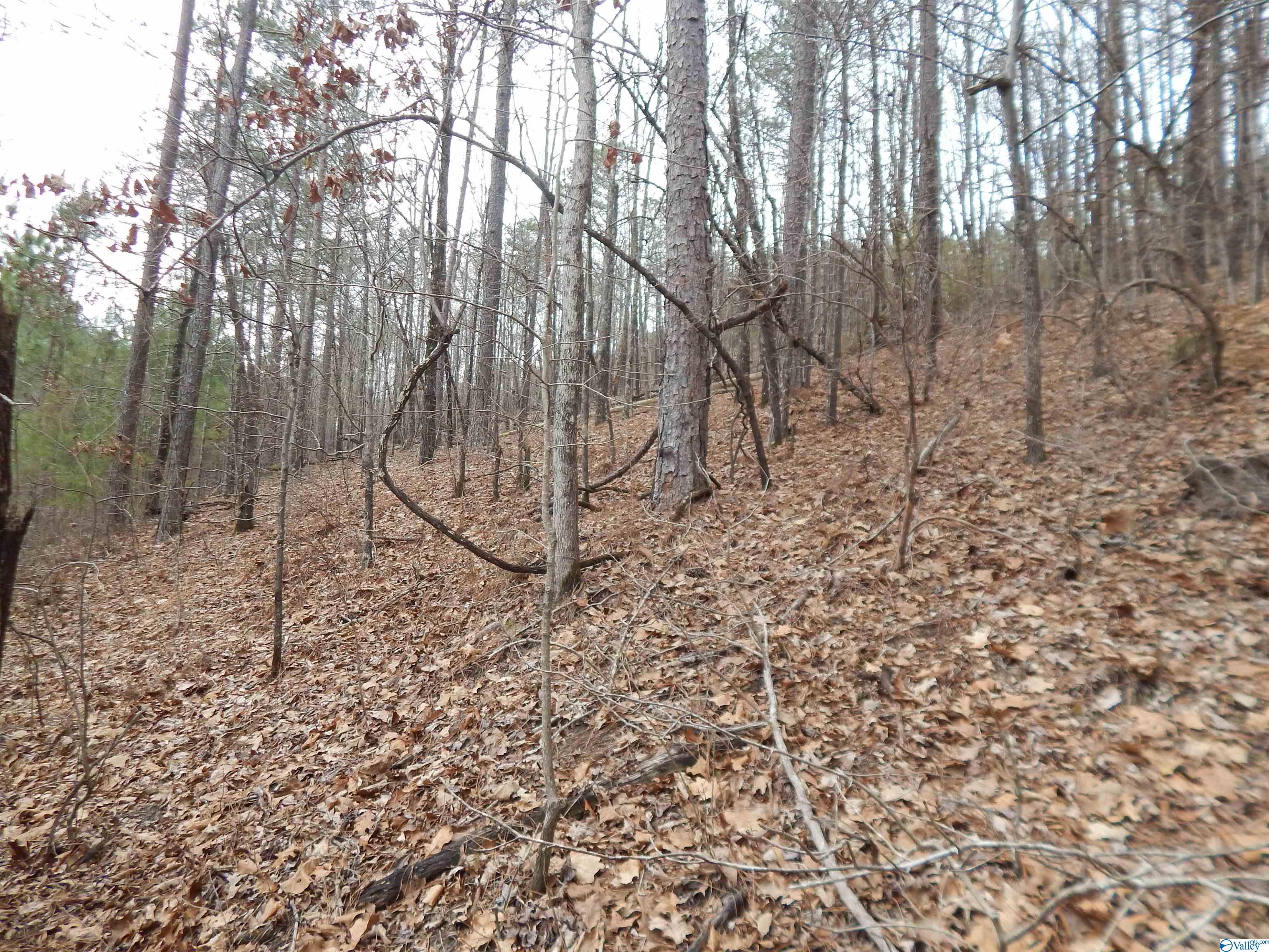 59.61 Acres Faith School Road