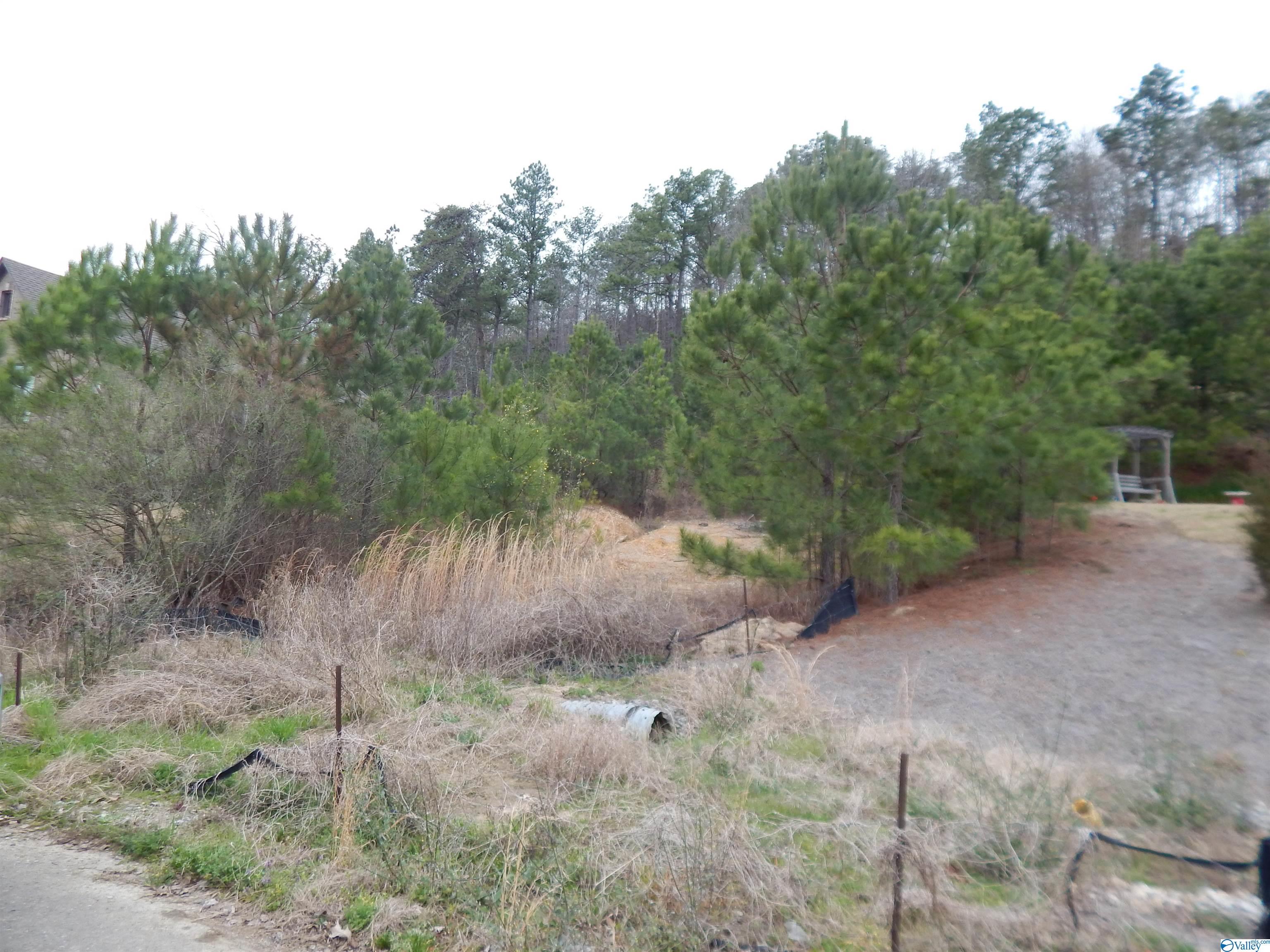 59.61 Acres Faith School Road