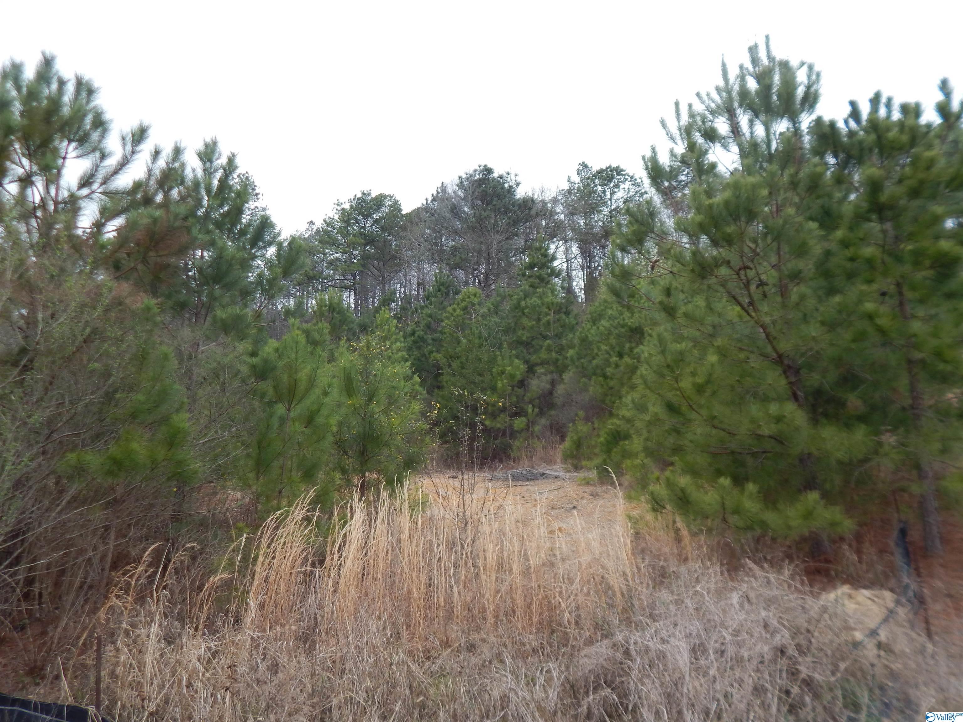 59.61 Acres Faith School Road