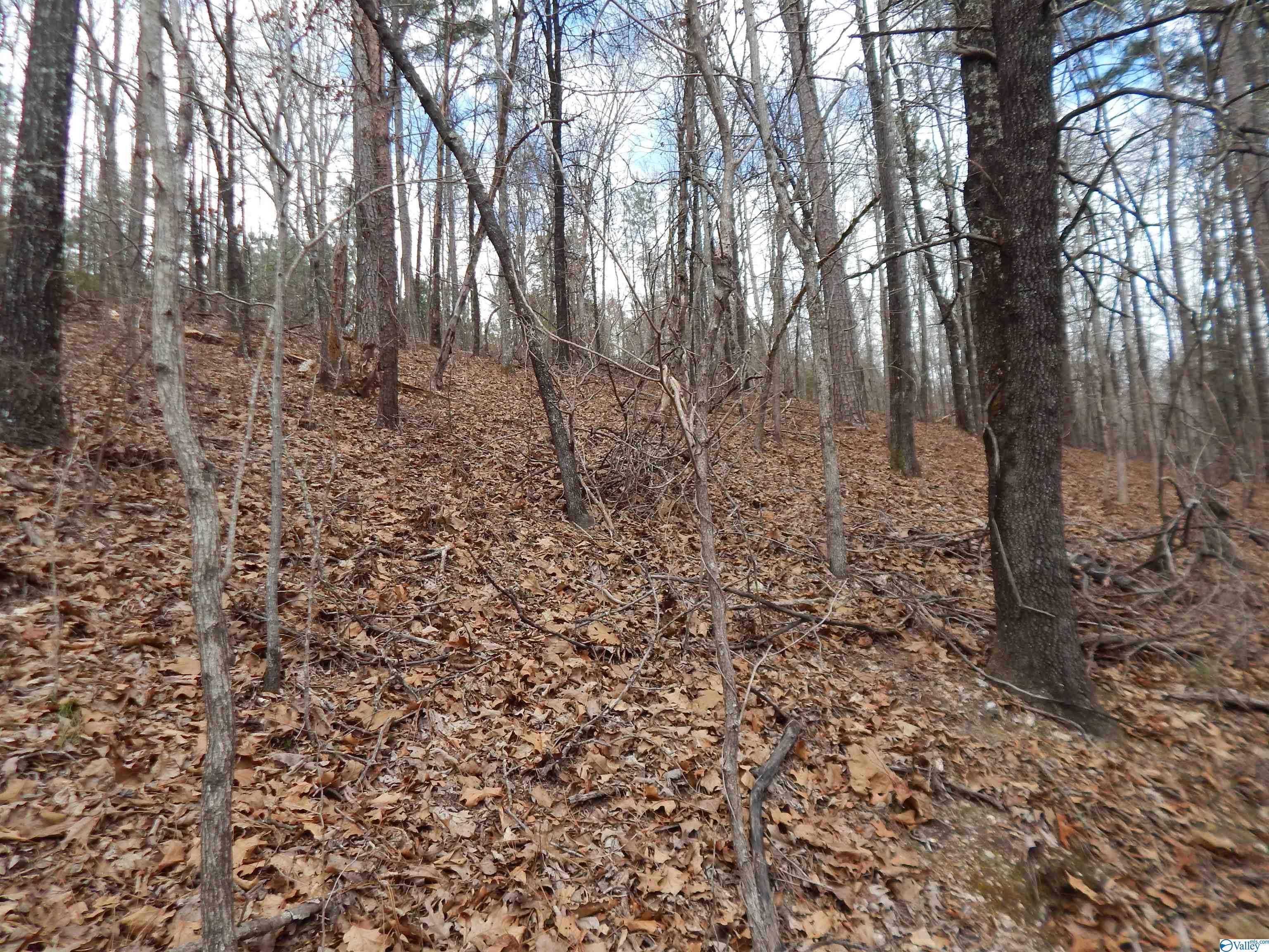 59.61 Acres Faith School Road