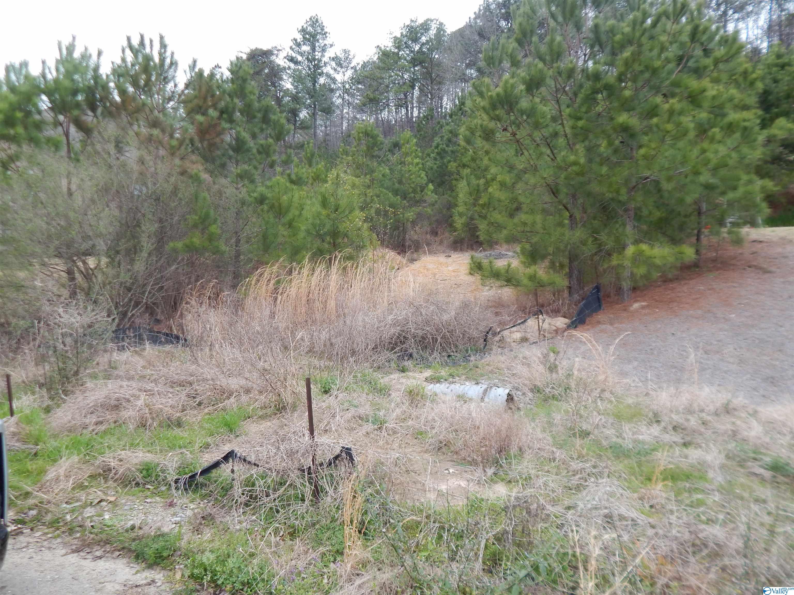 59.61 Acres Faith School Road