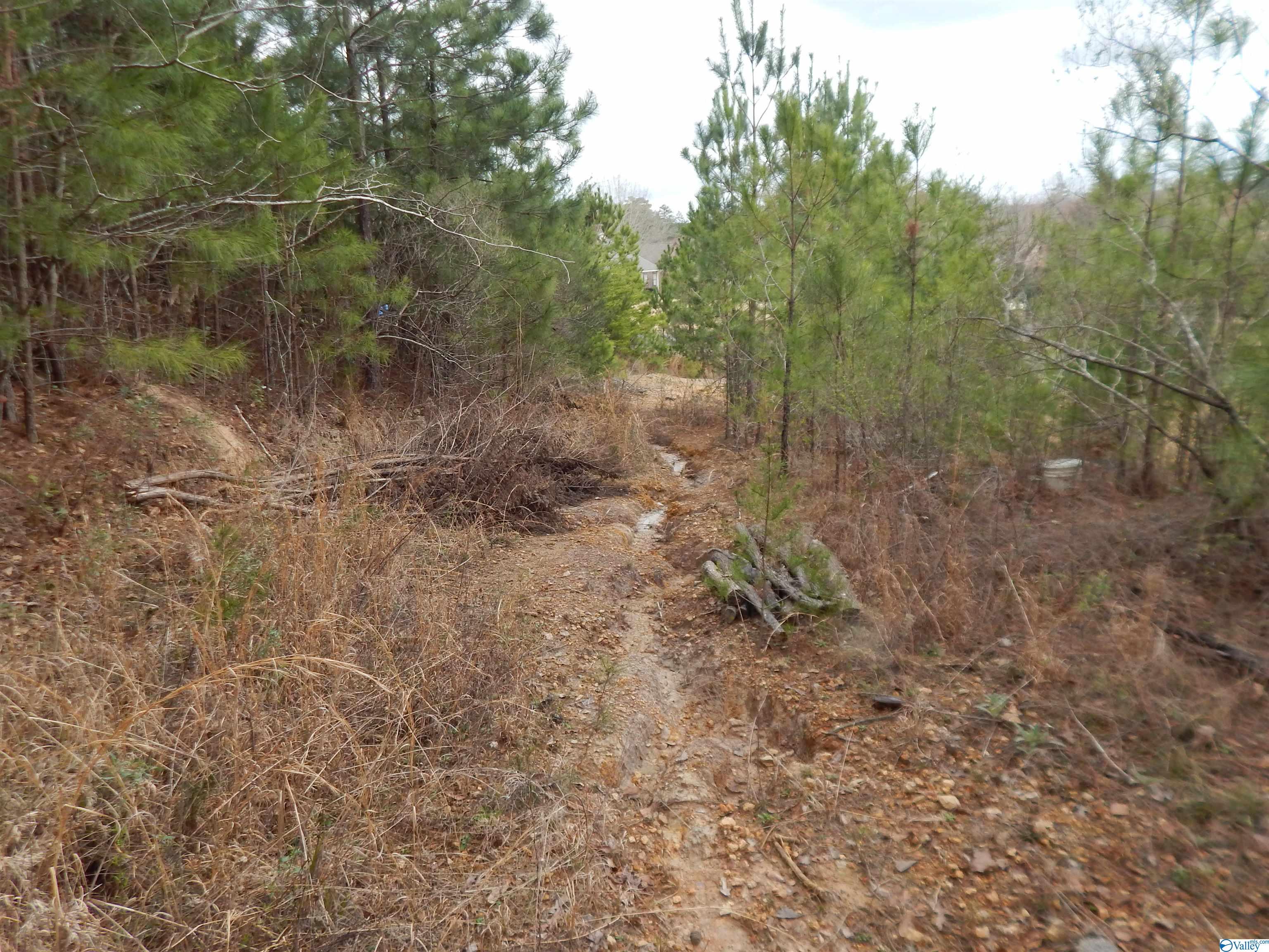59.61 Acres Faith School Road