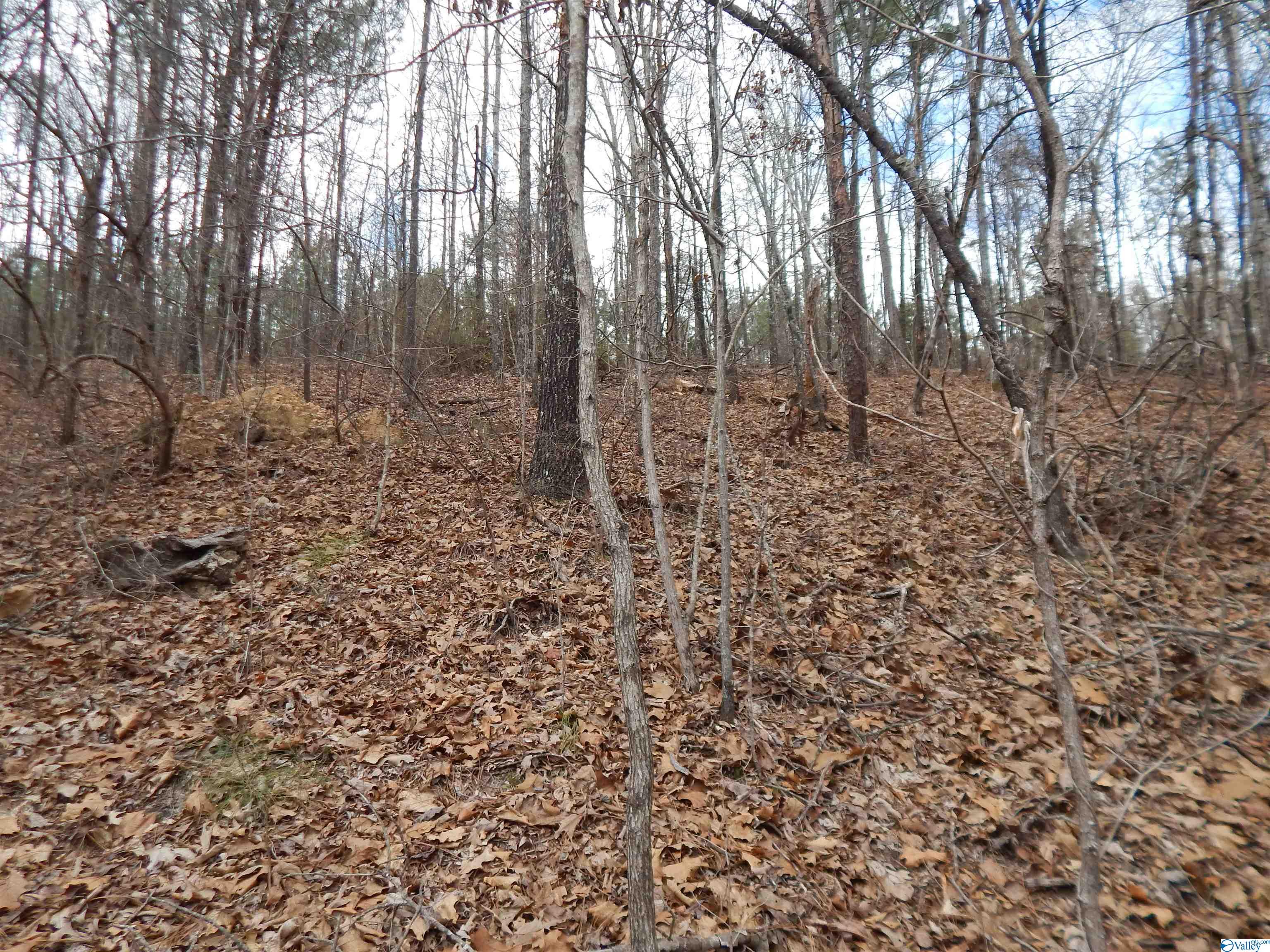 59.61 Acres Faith School Road