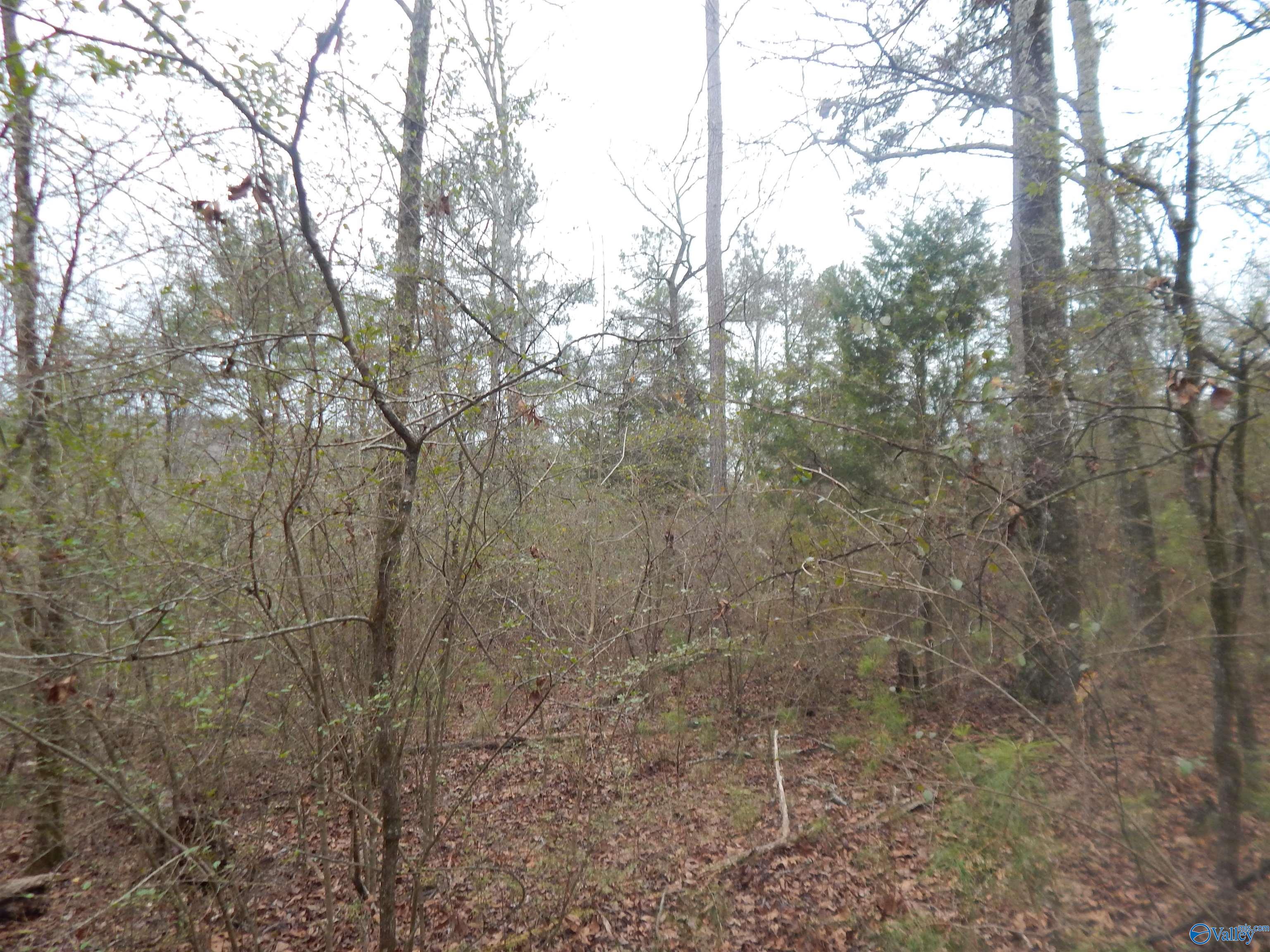 39.74 Acres US Highway 78 E
