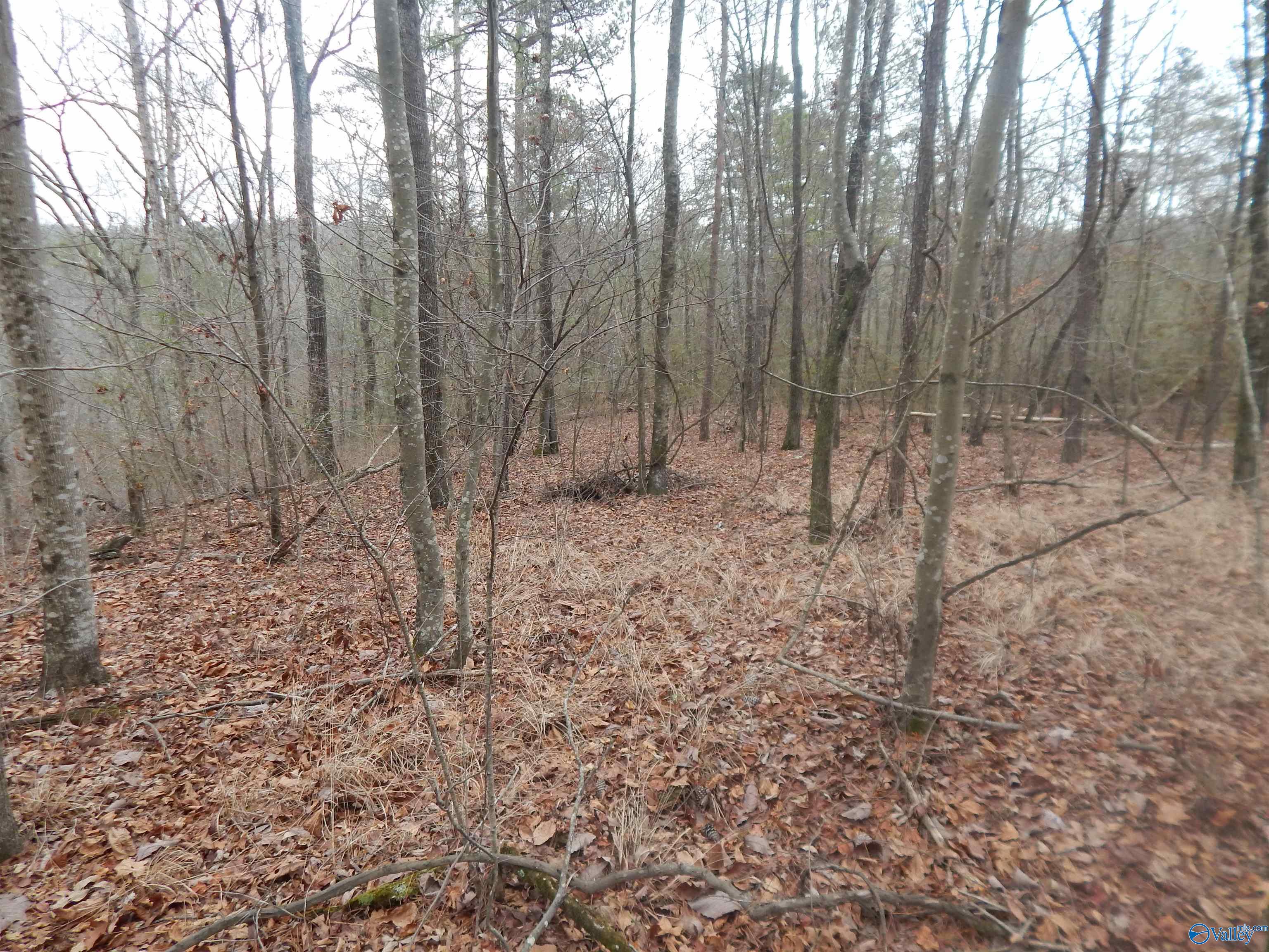 39.74 Acres US Highway 78 E