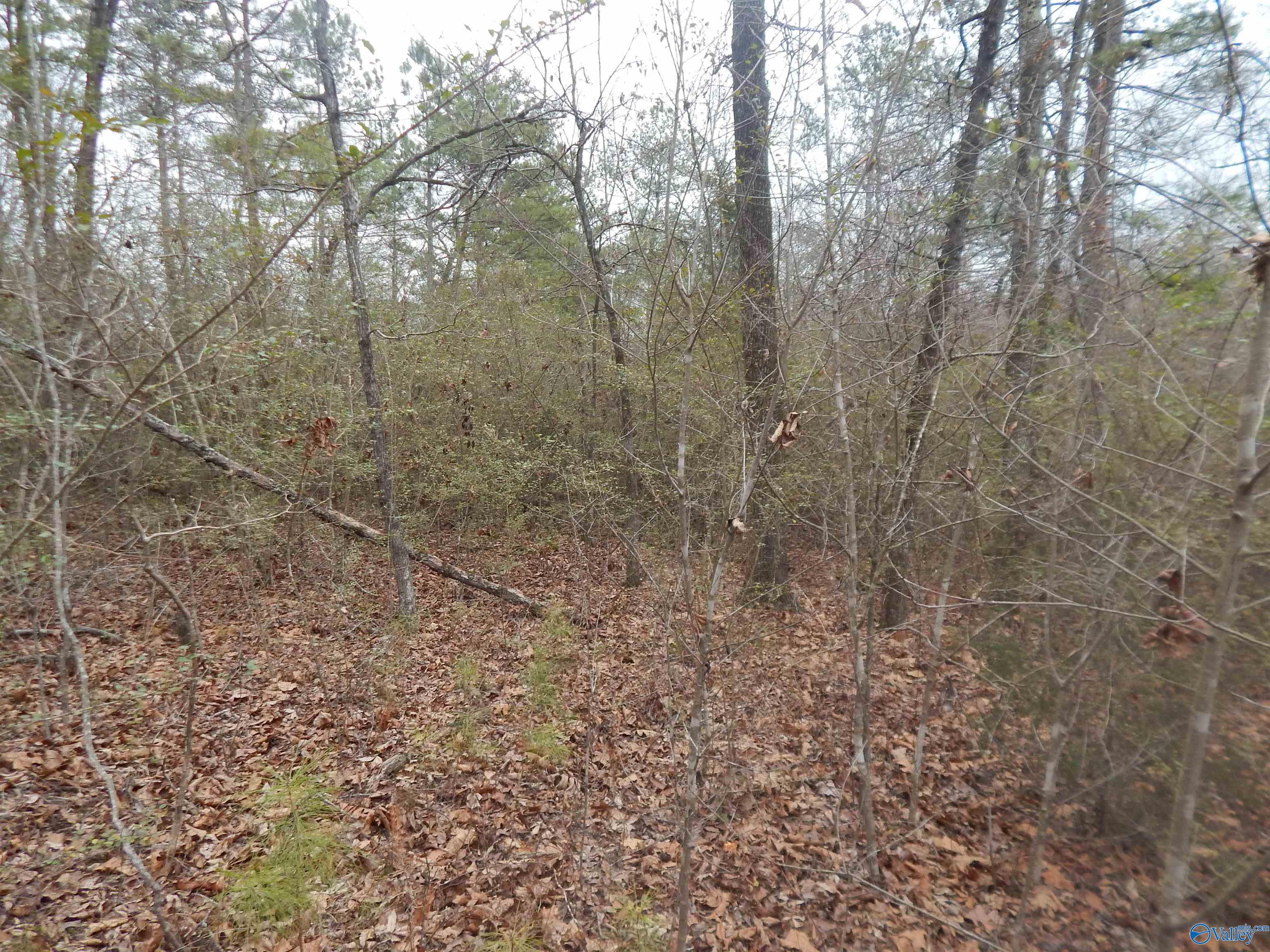 39.74 Acres US Highway 78 E