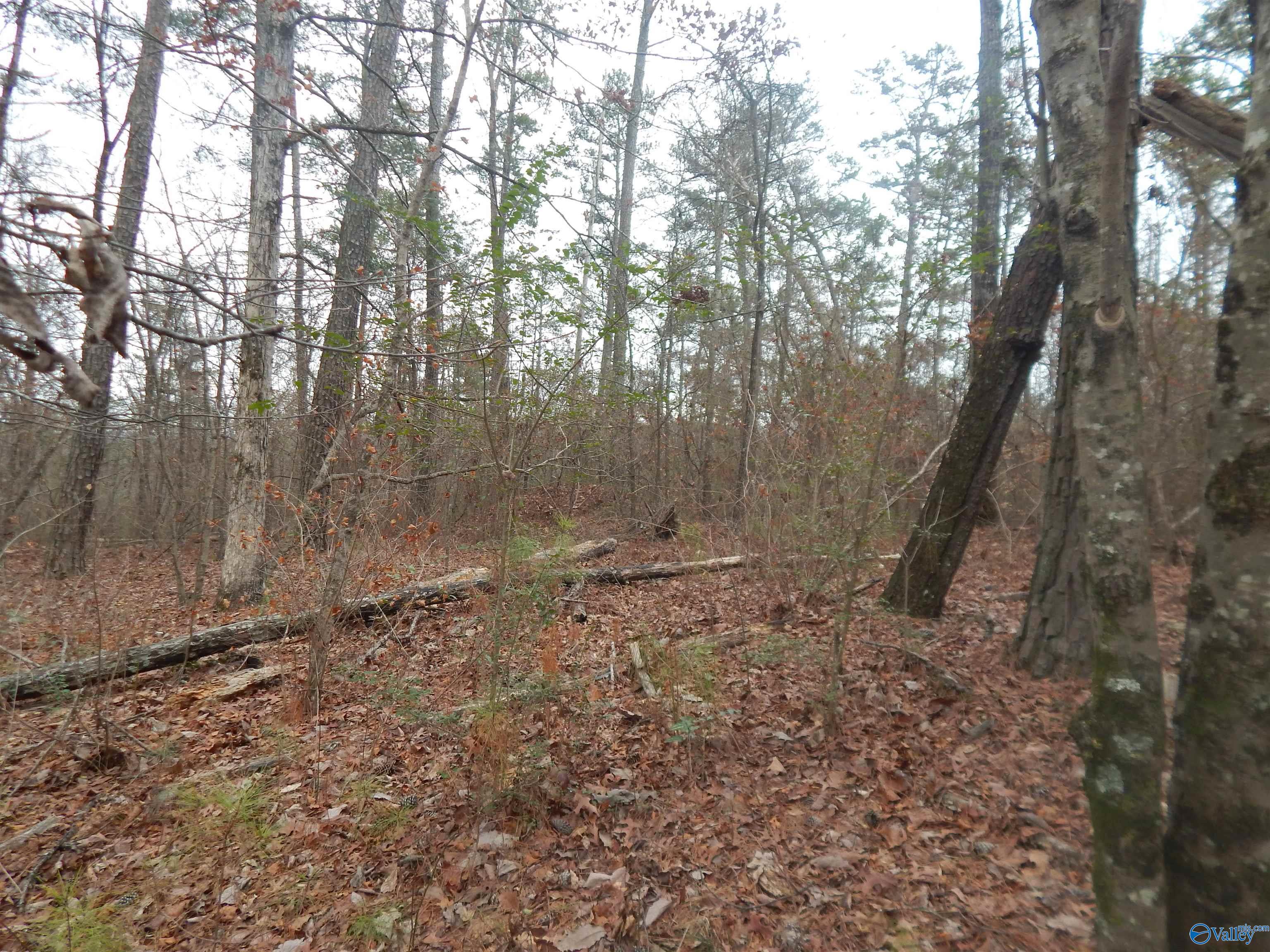 39.74 Acres US Highway 78 E