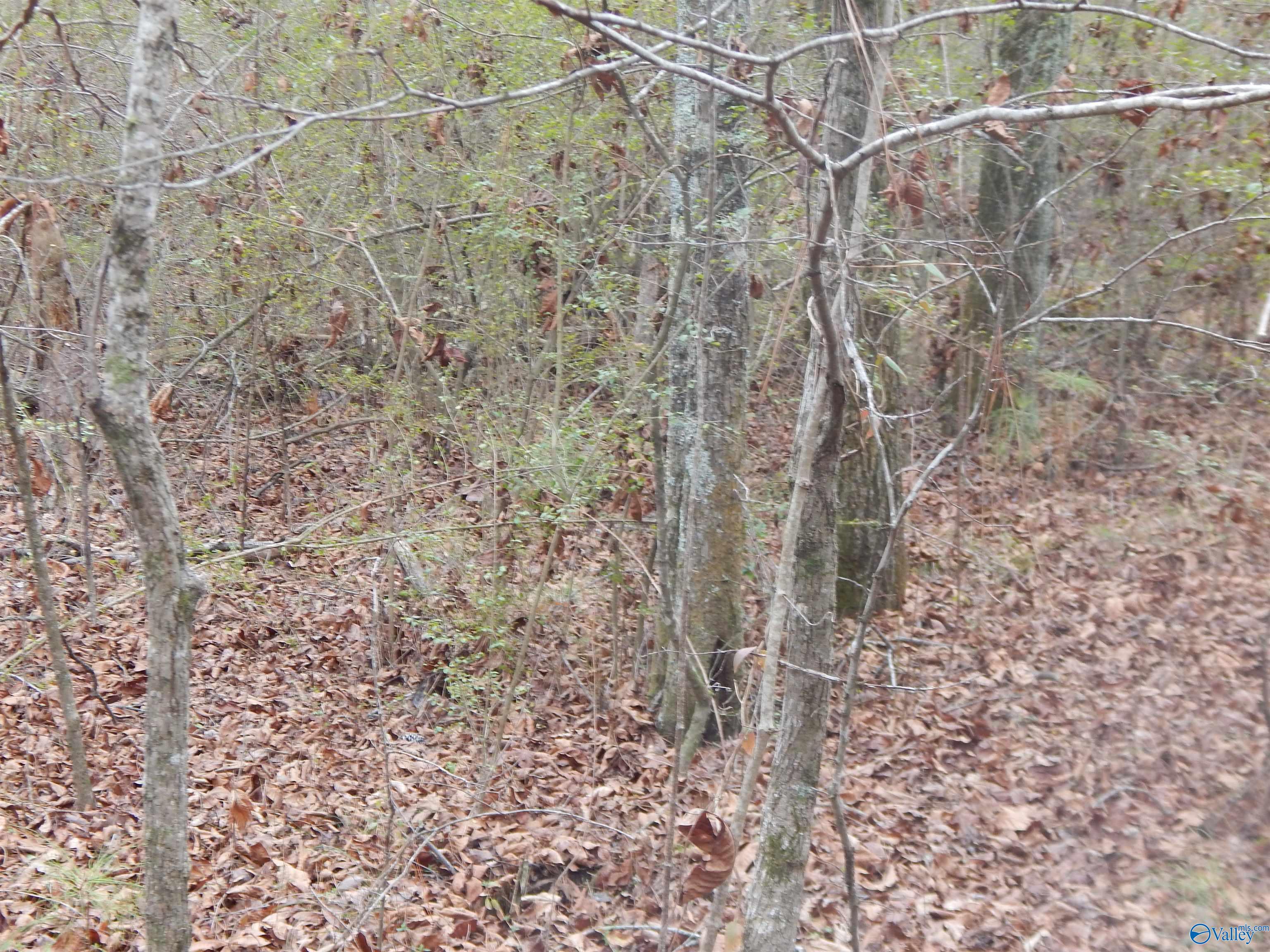 39.74 Acres US Highway 78 E