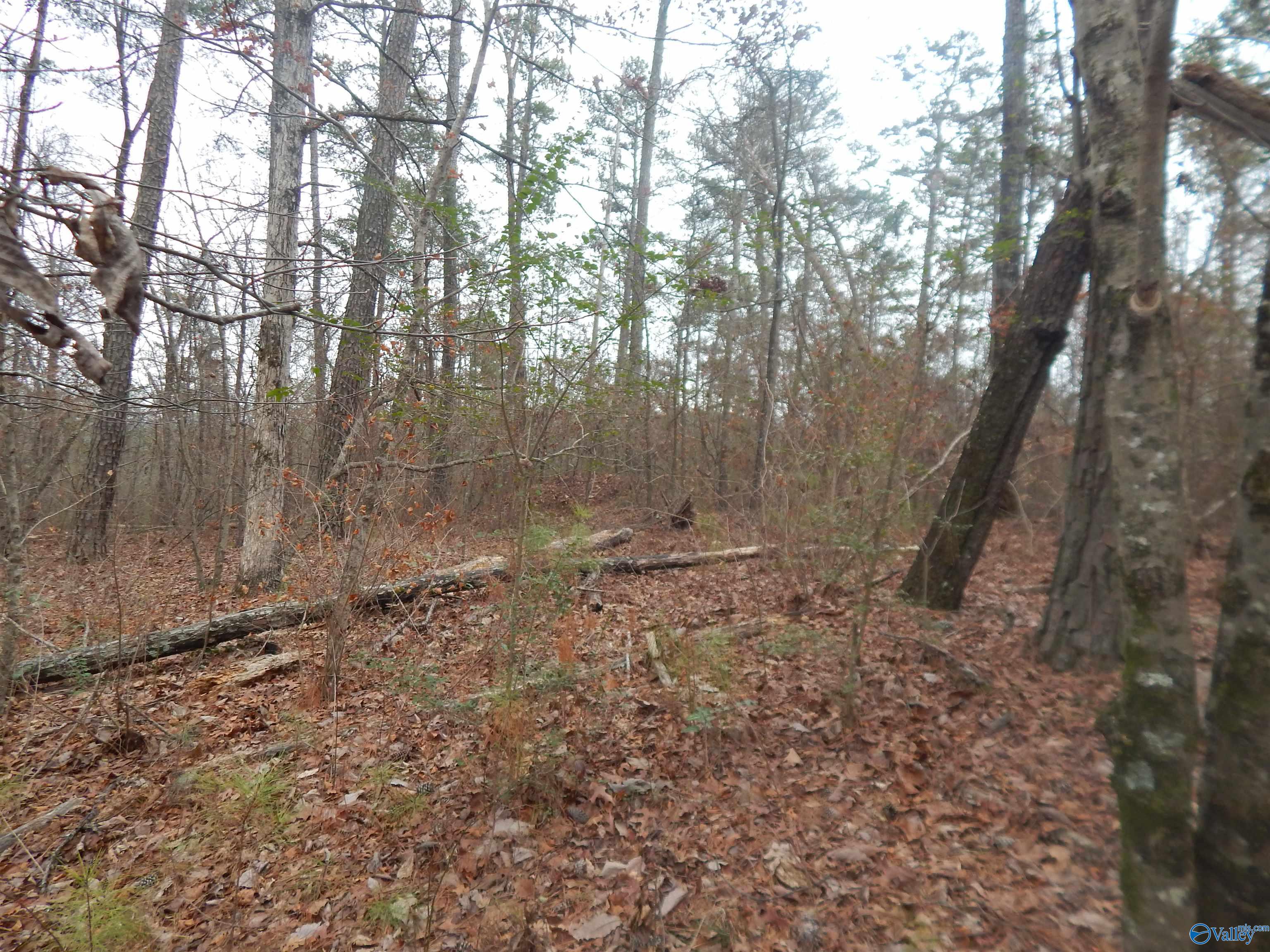 39.74 Acres US Highway 78 E