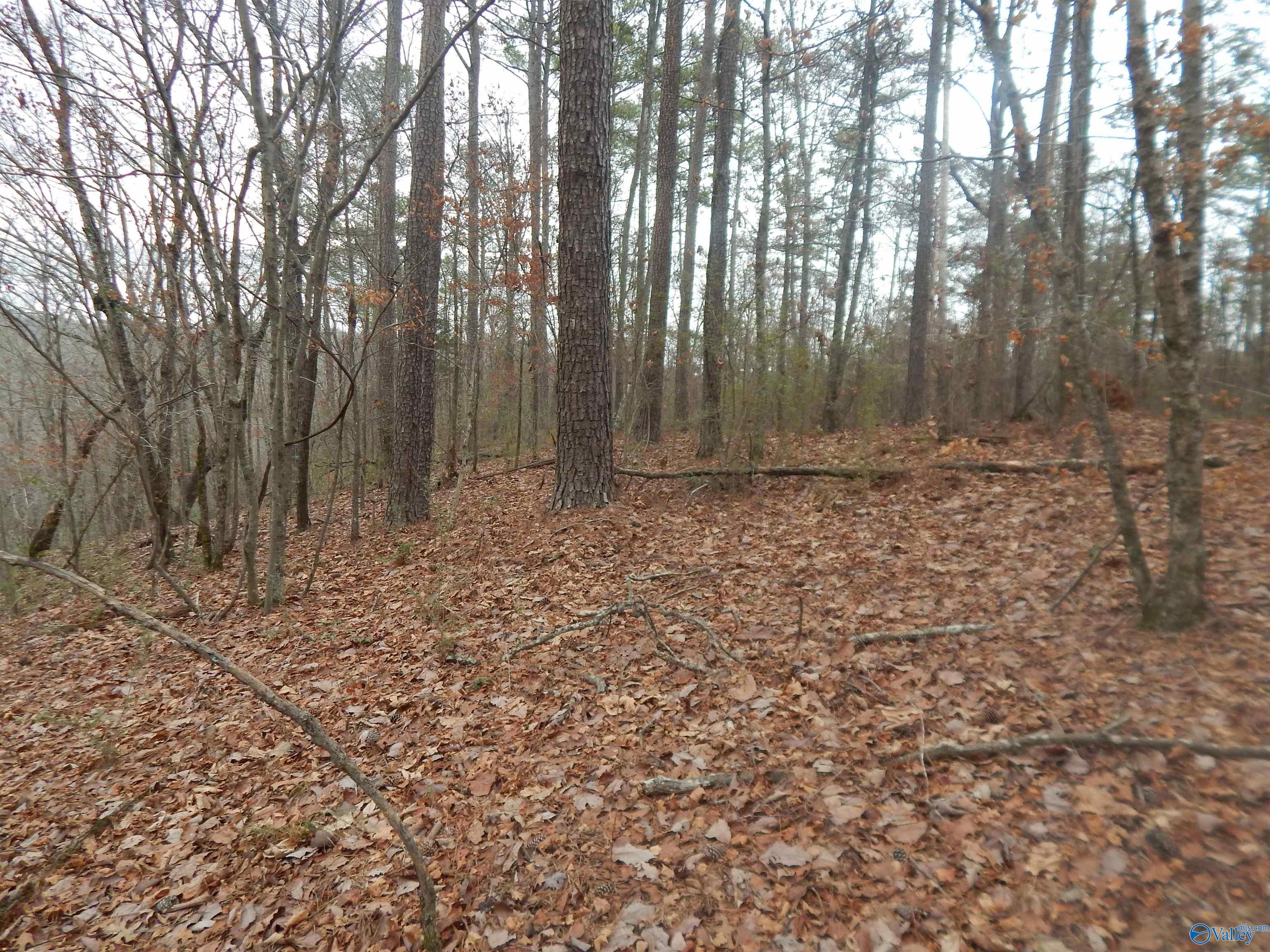 39.74 Acres US Highway 78 E