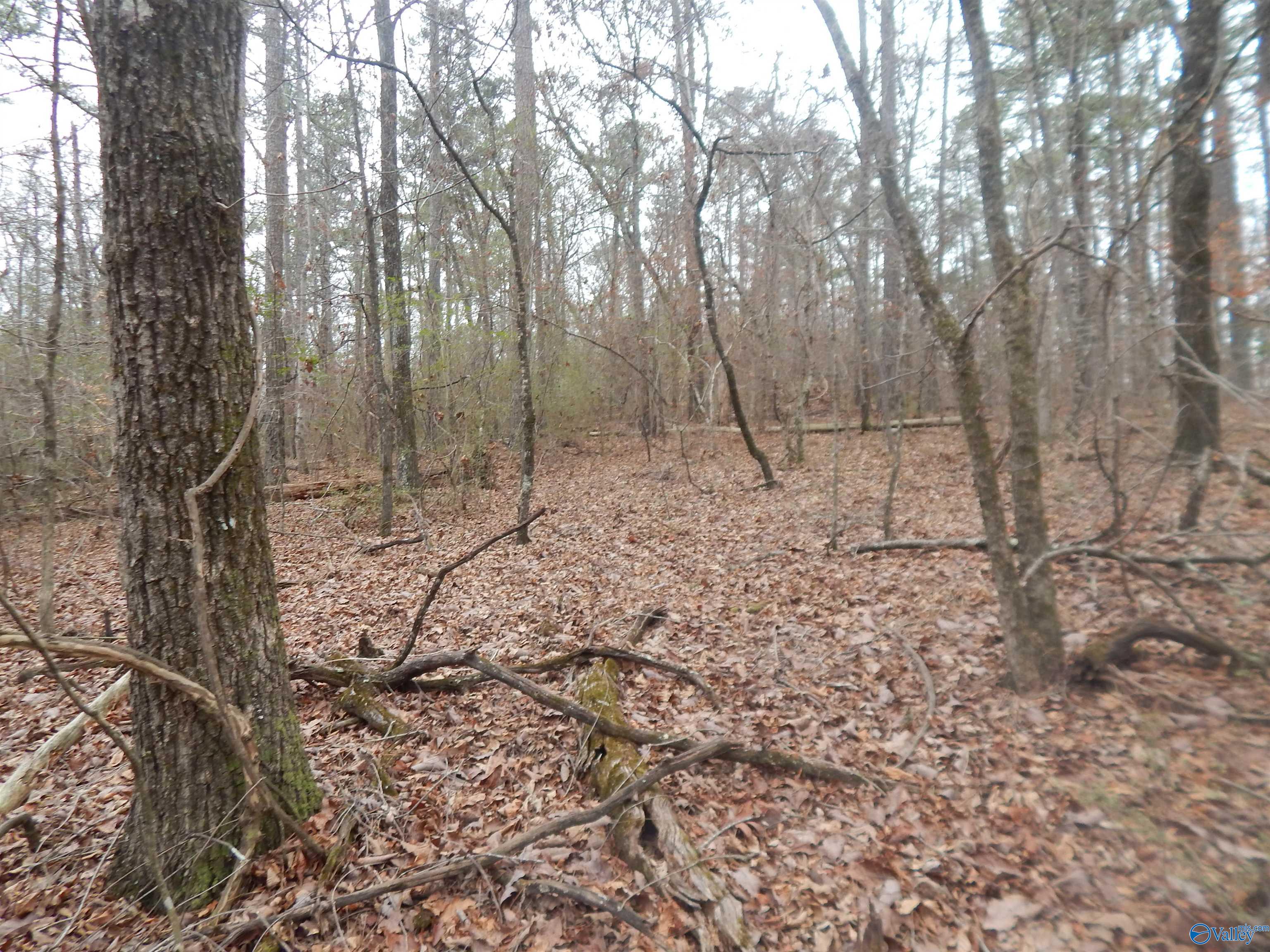39.74 Acres US Highway 78 E