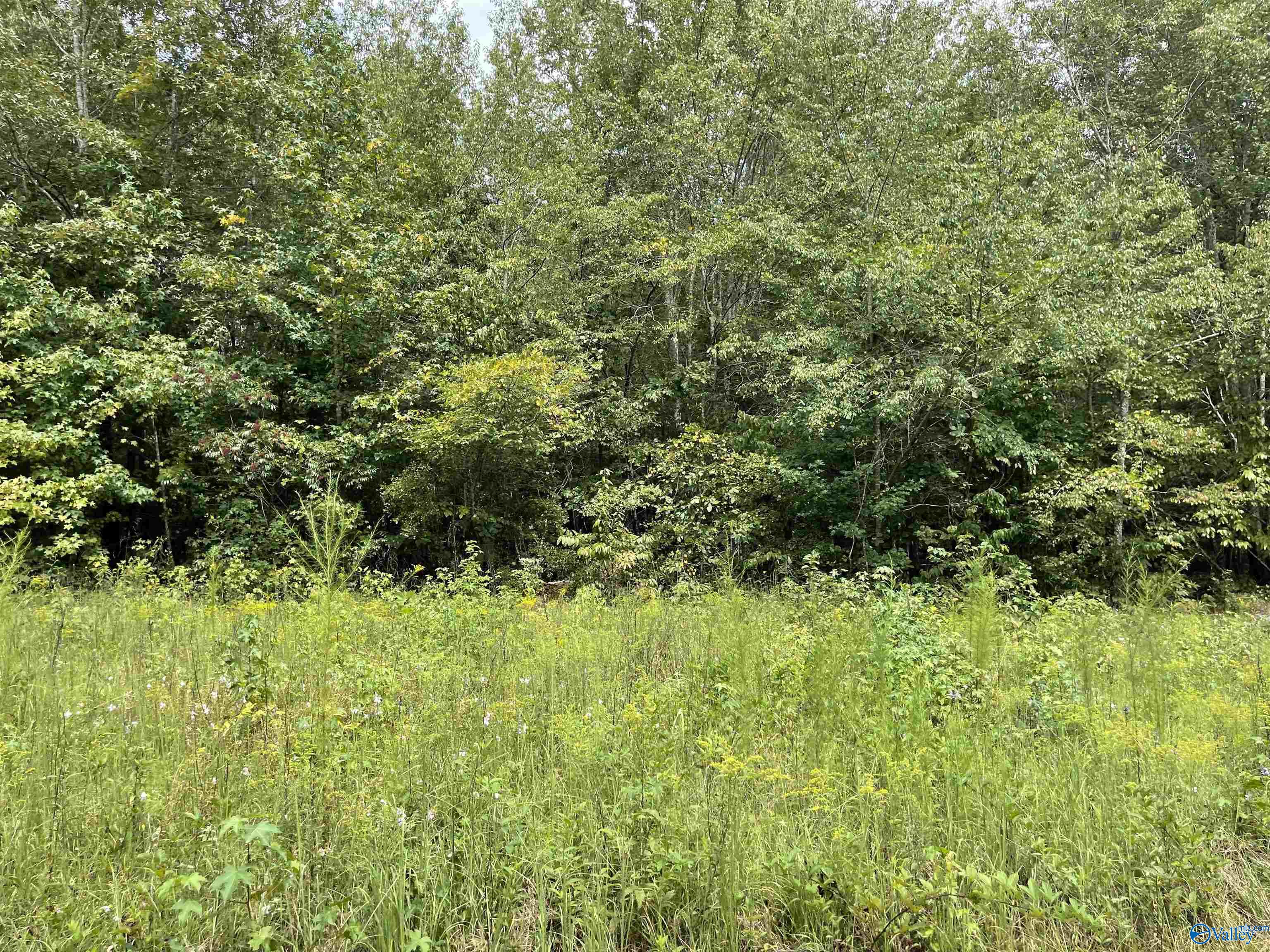 1890 County Road 751