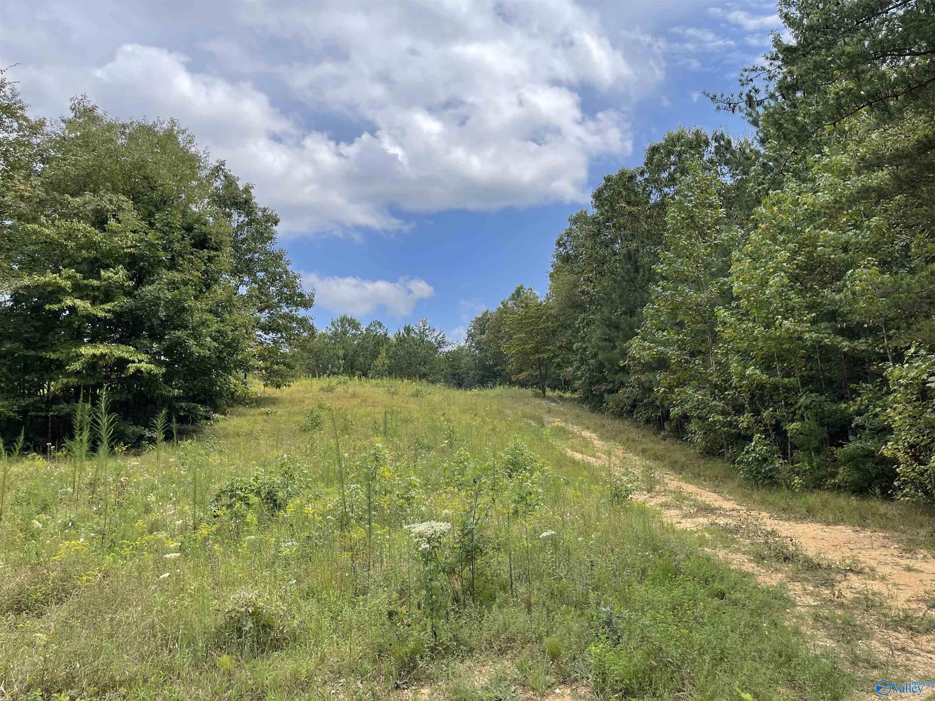 1890 County Road 751