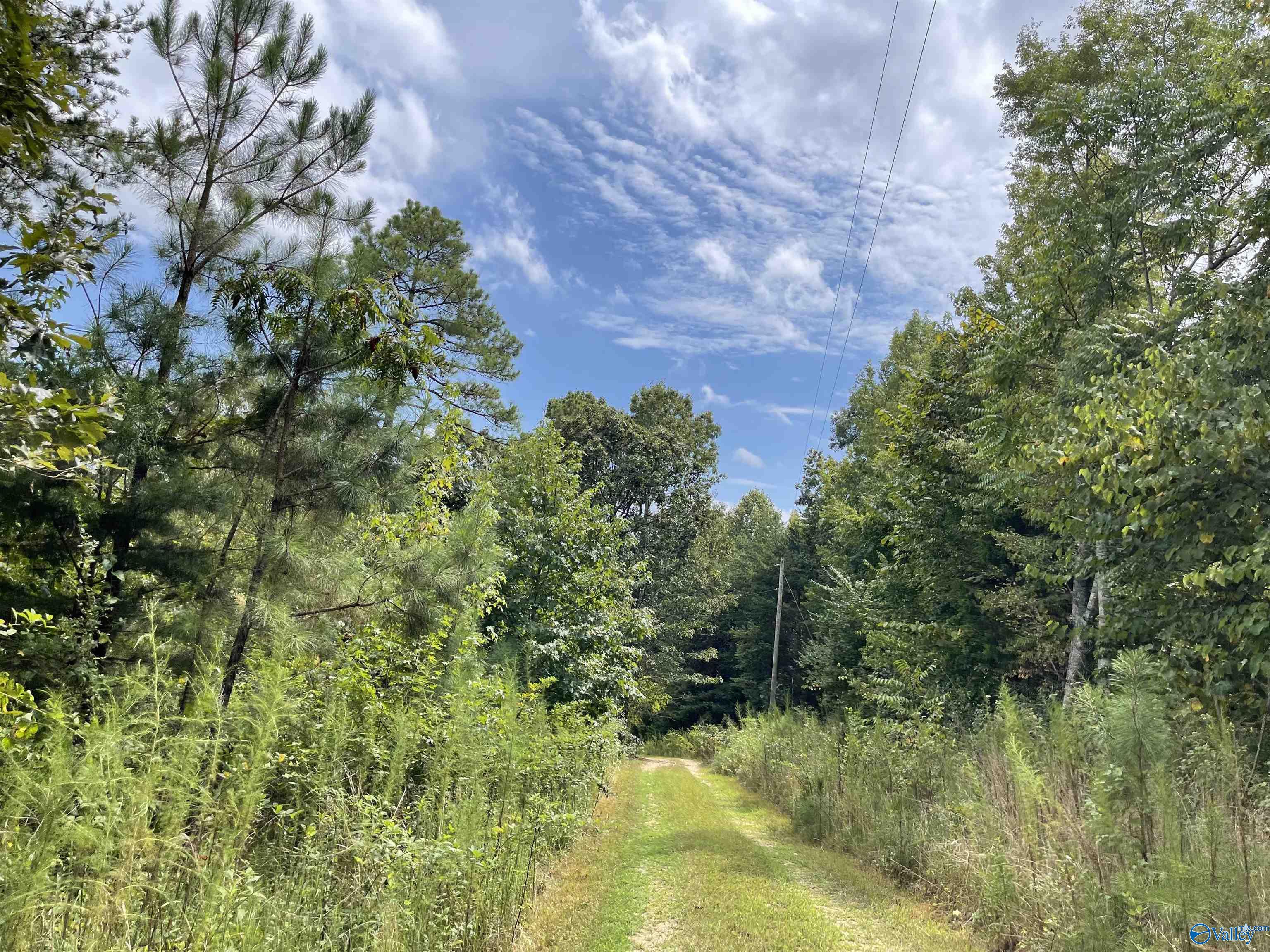 1890 County Road 751