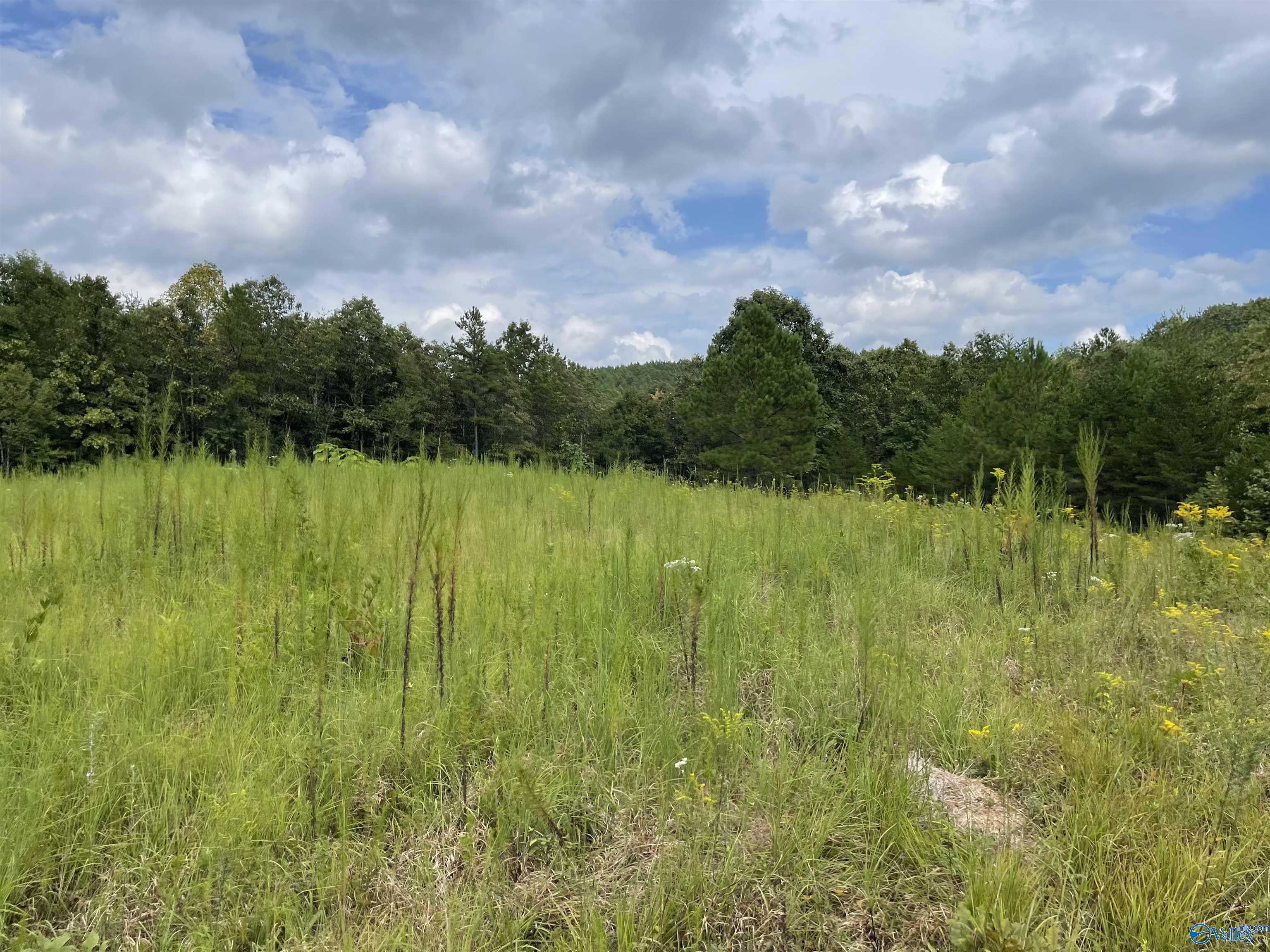 1890 County Road 751
