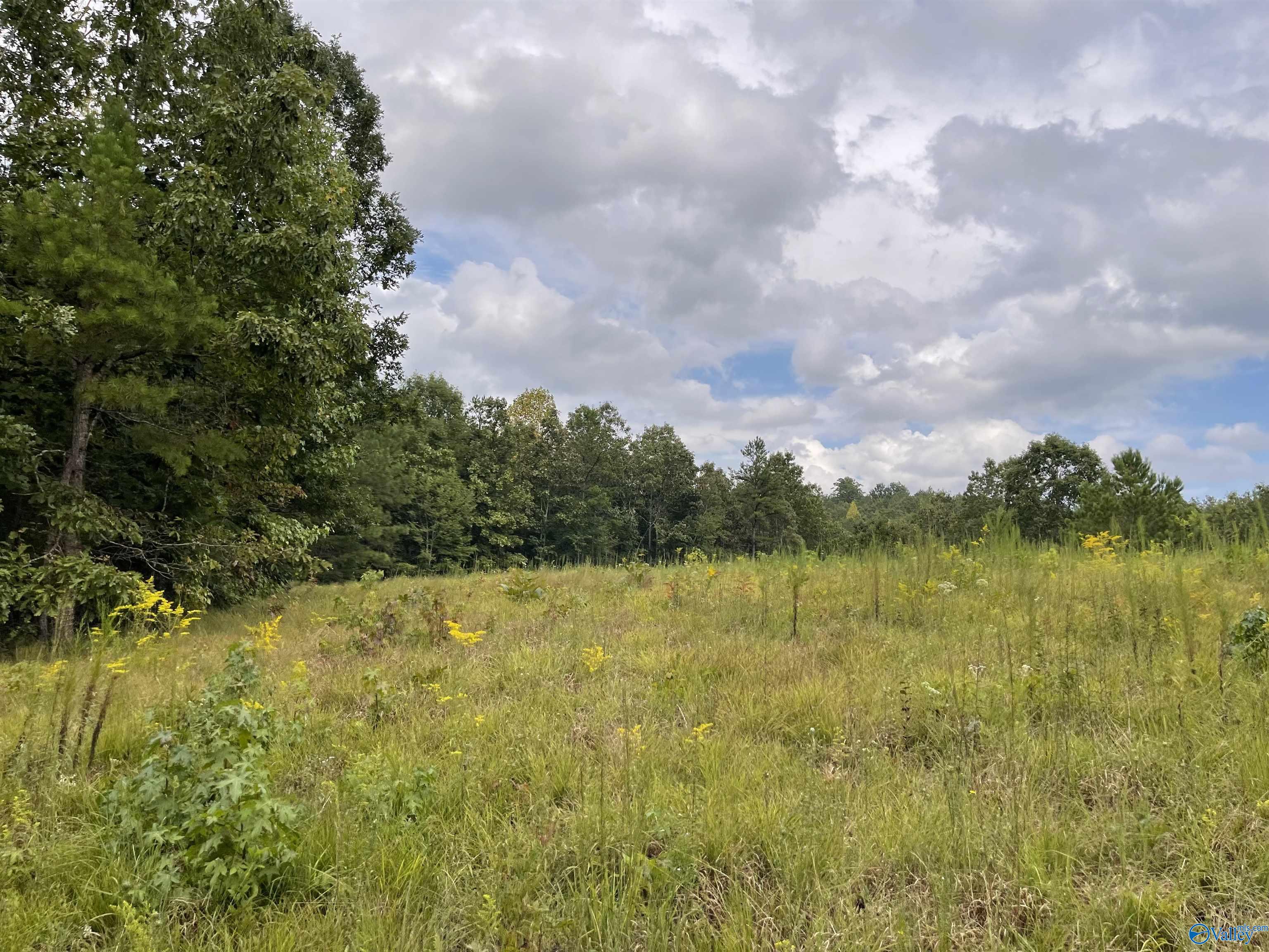 1890 County Road 751