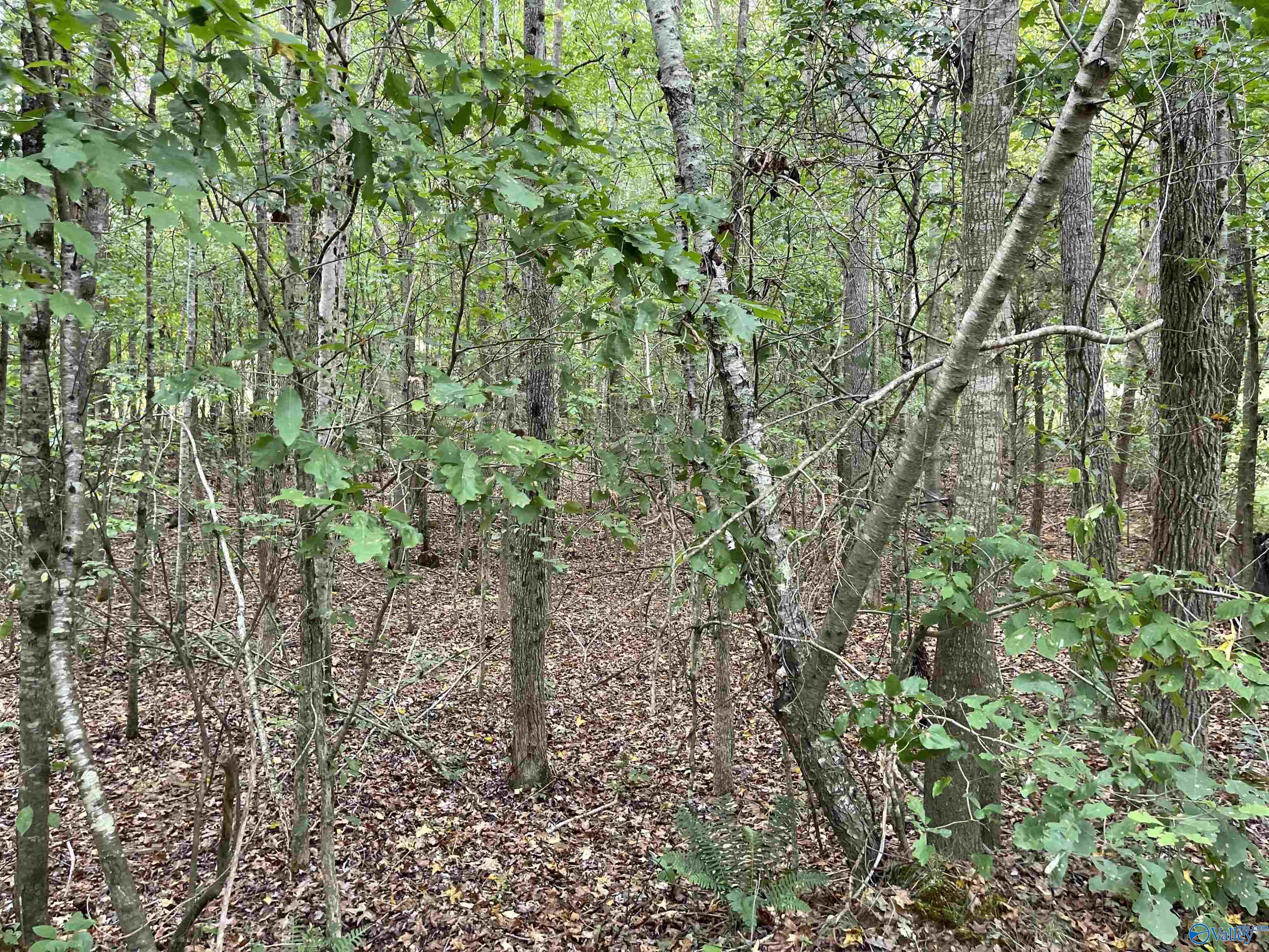 1890 County Road 751