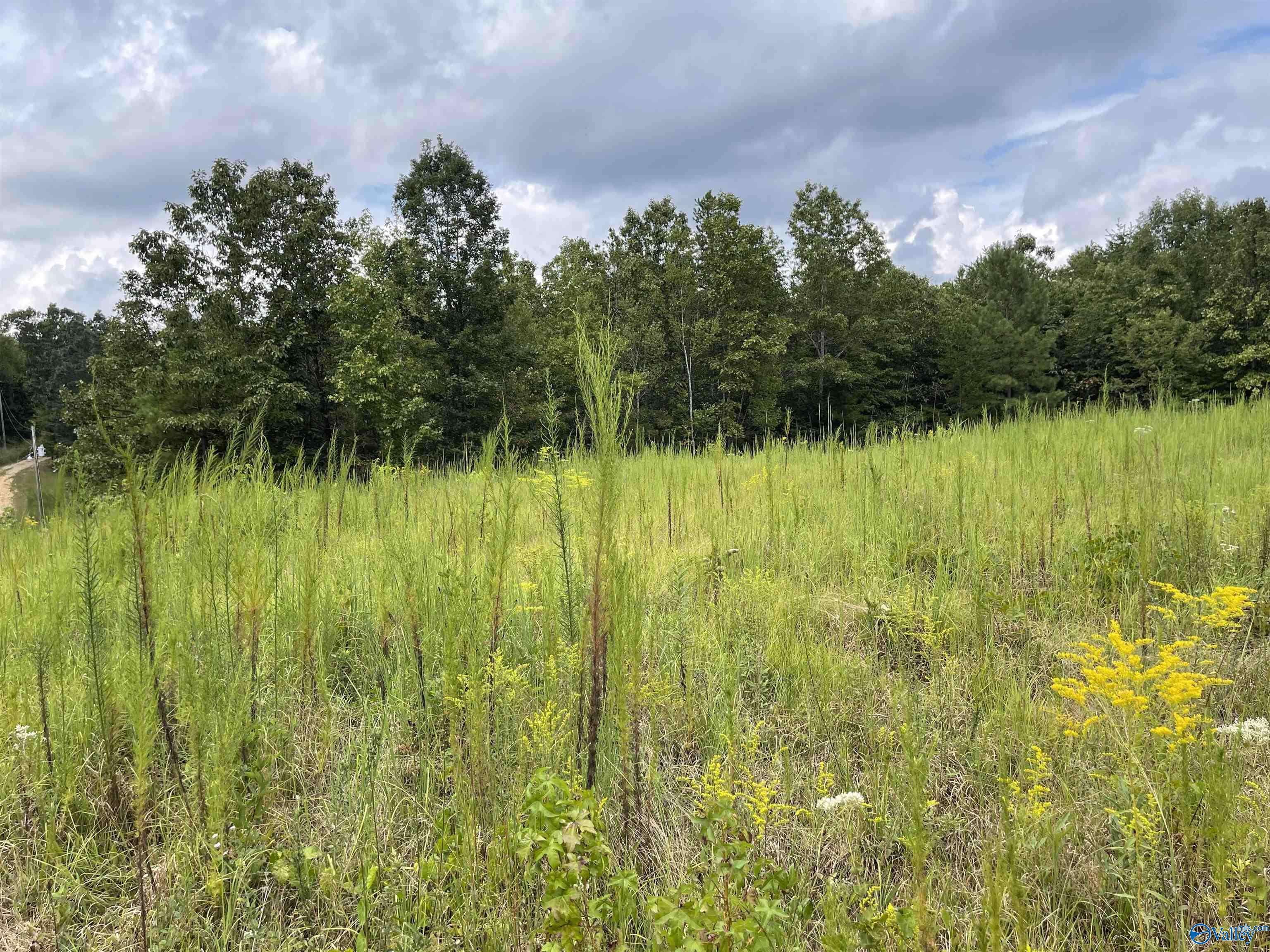 1890 County Road 751