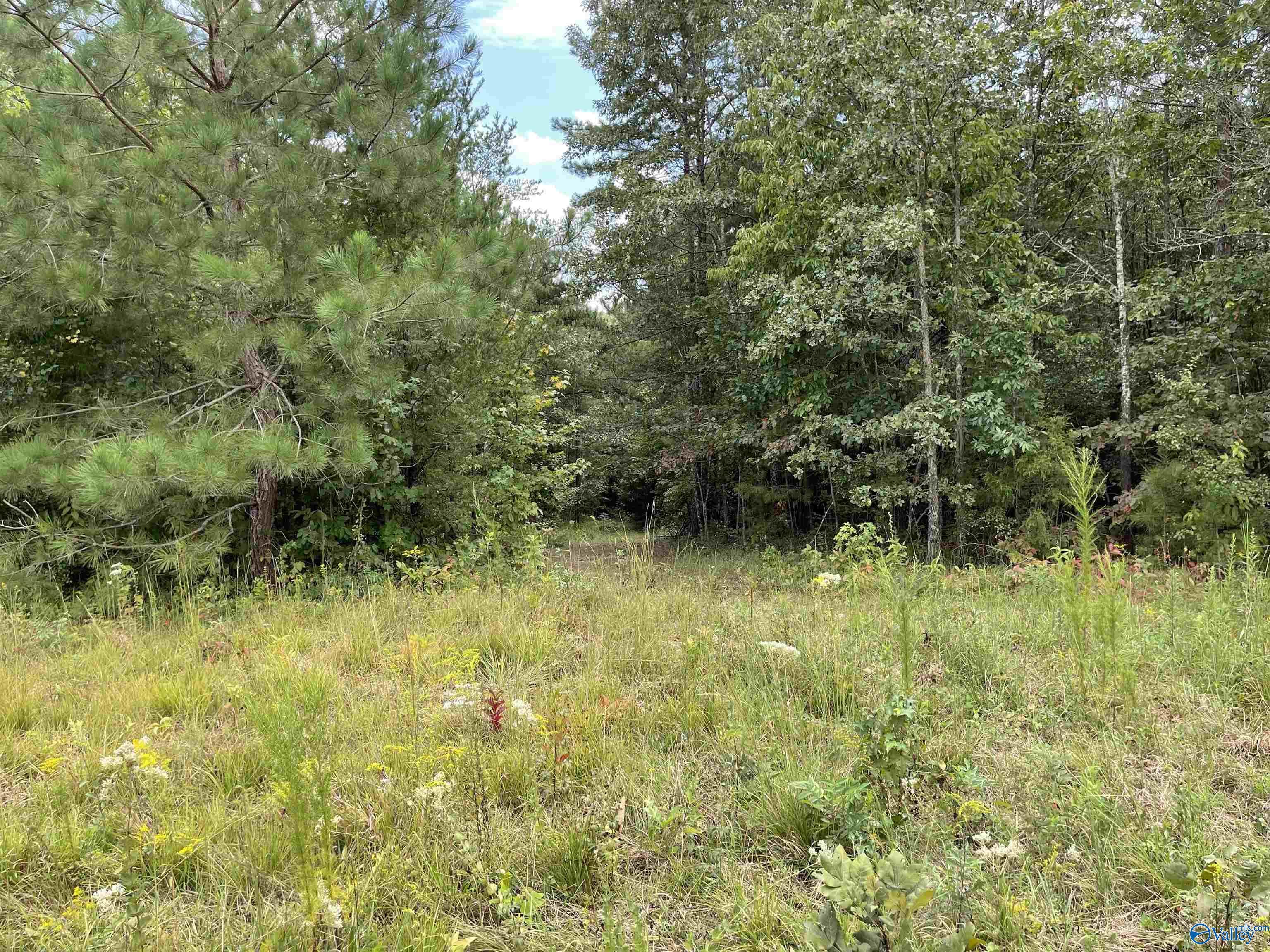1890 County Road 751