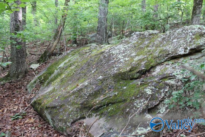 3 acre County Road 604