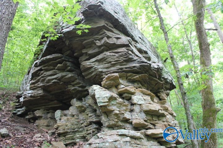 3 acre County Road 604